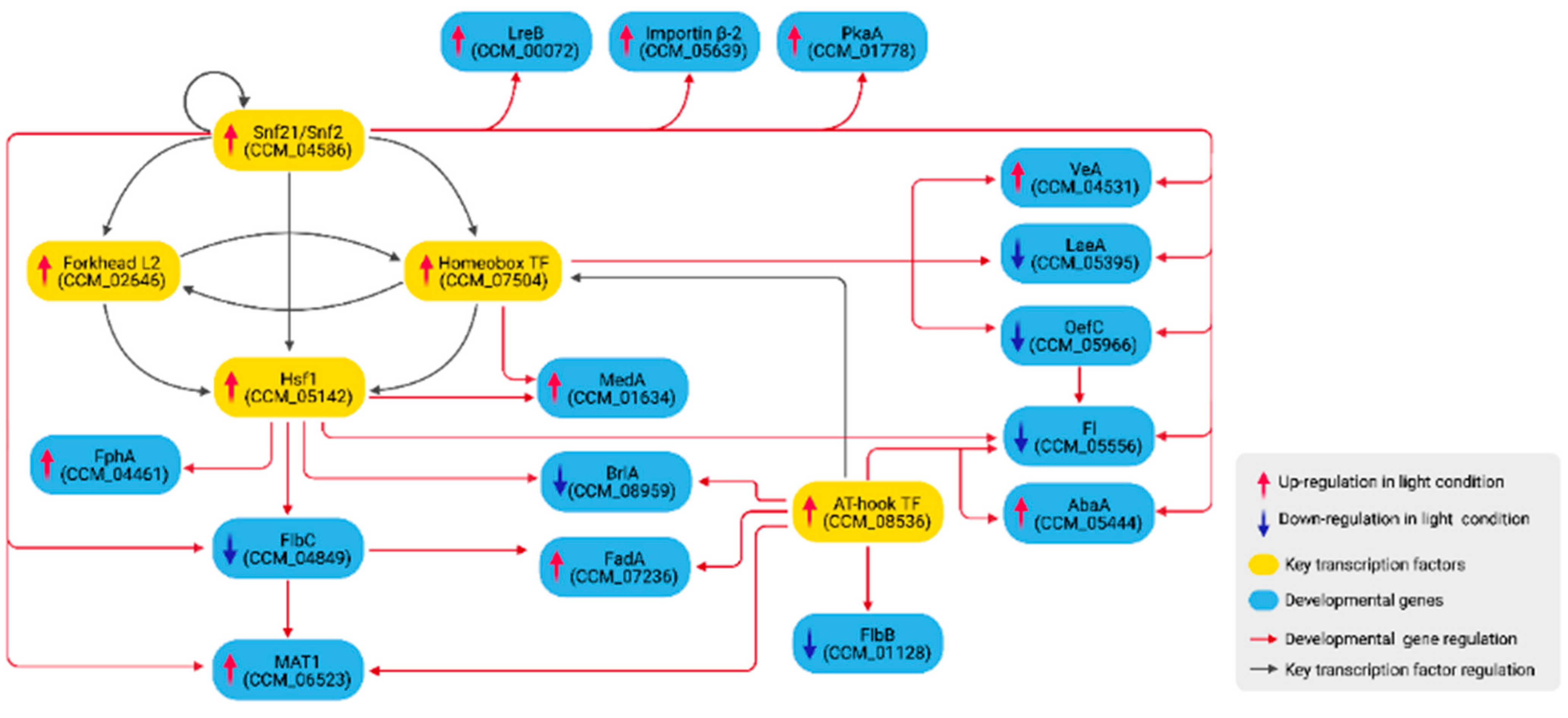 Biology 11 00071 g005