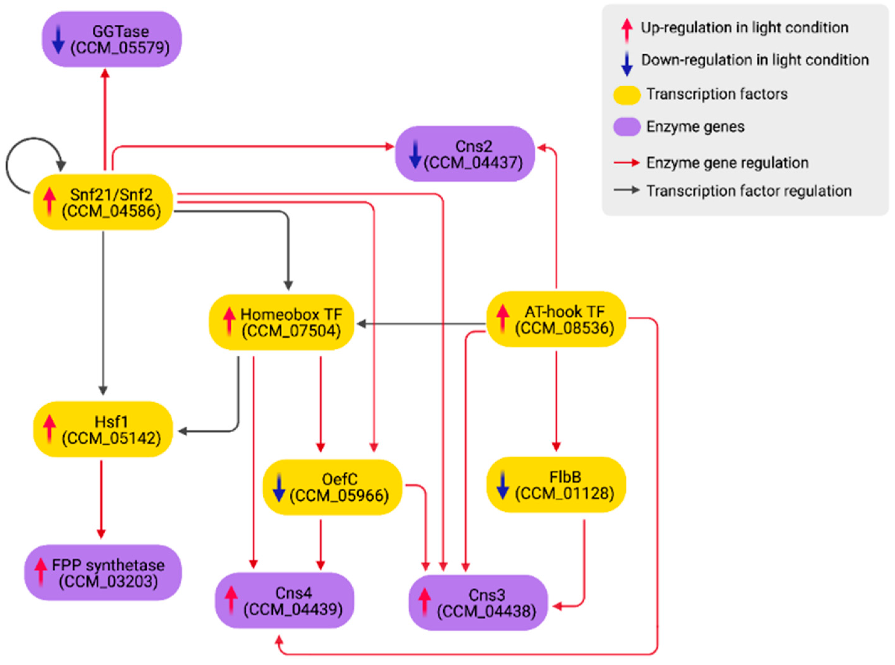 Biology 11 00071 g006