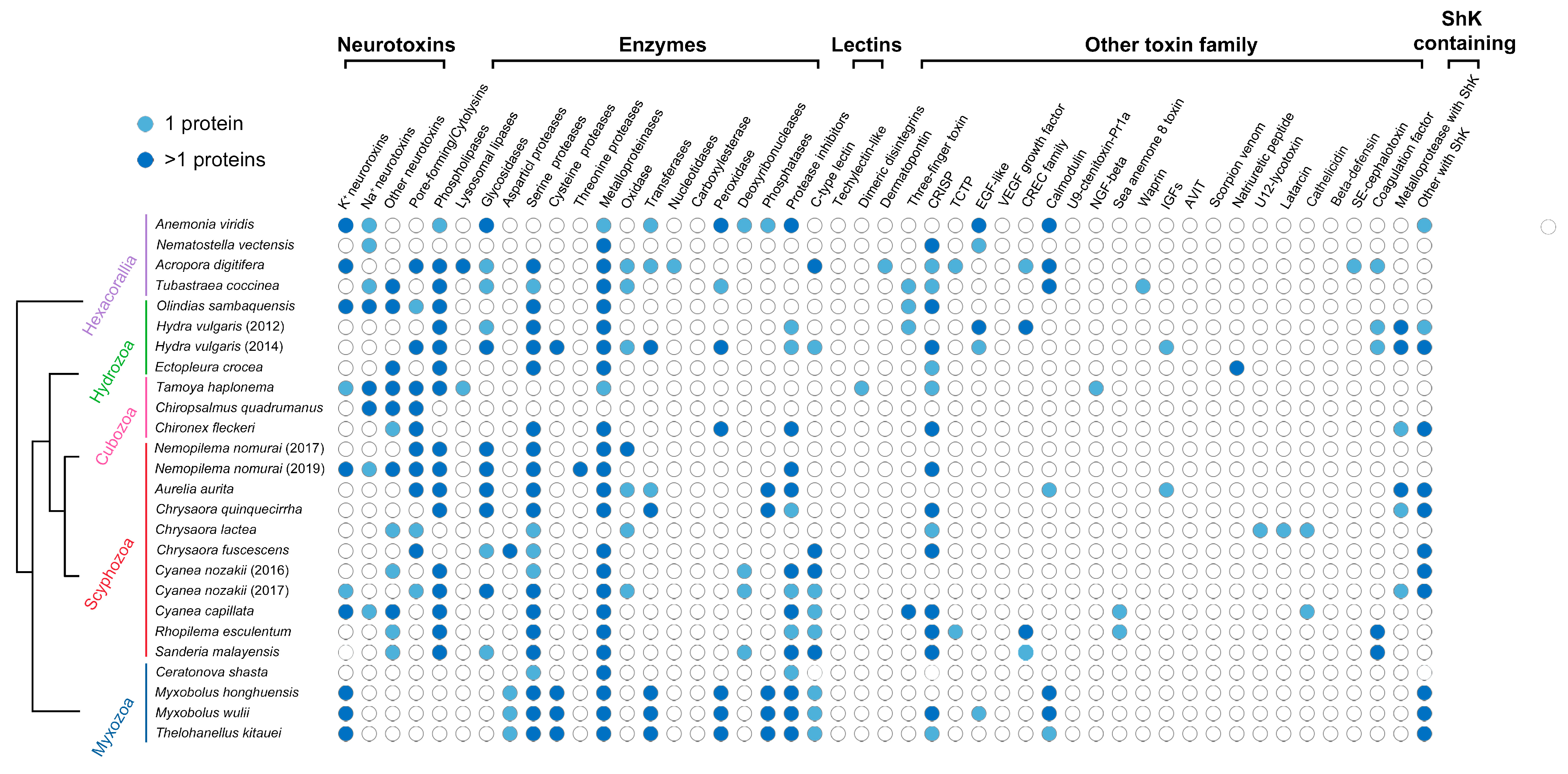 Biology 11 00091 g004