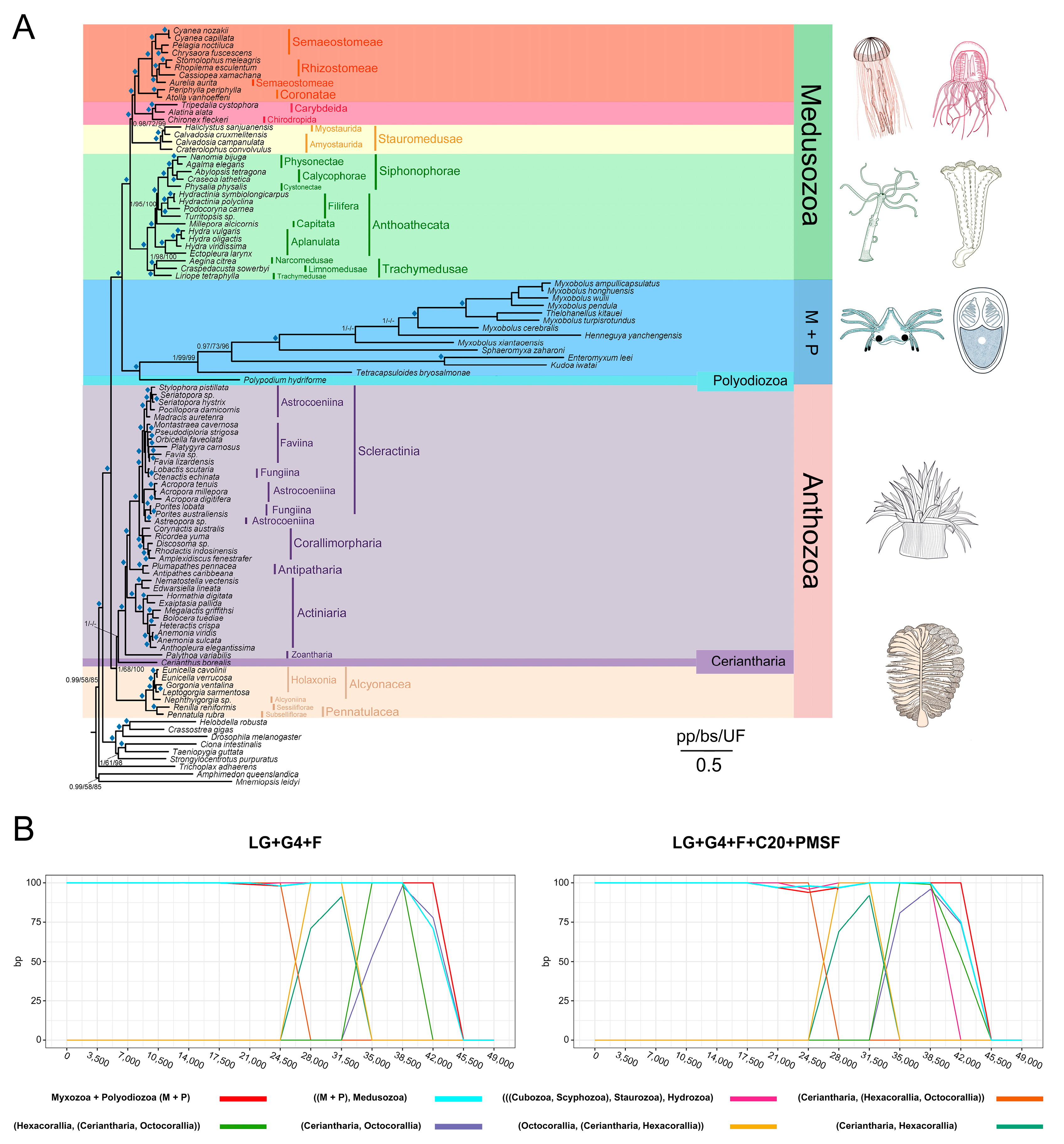 Biology 11 00091 g005