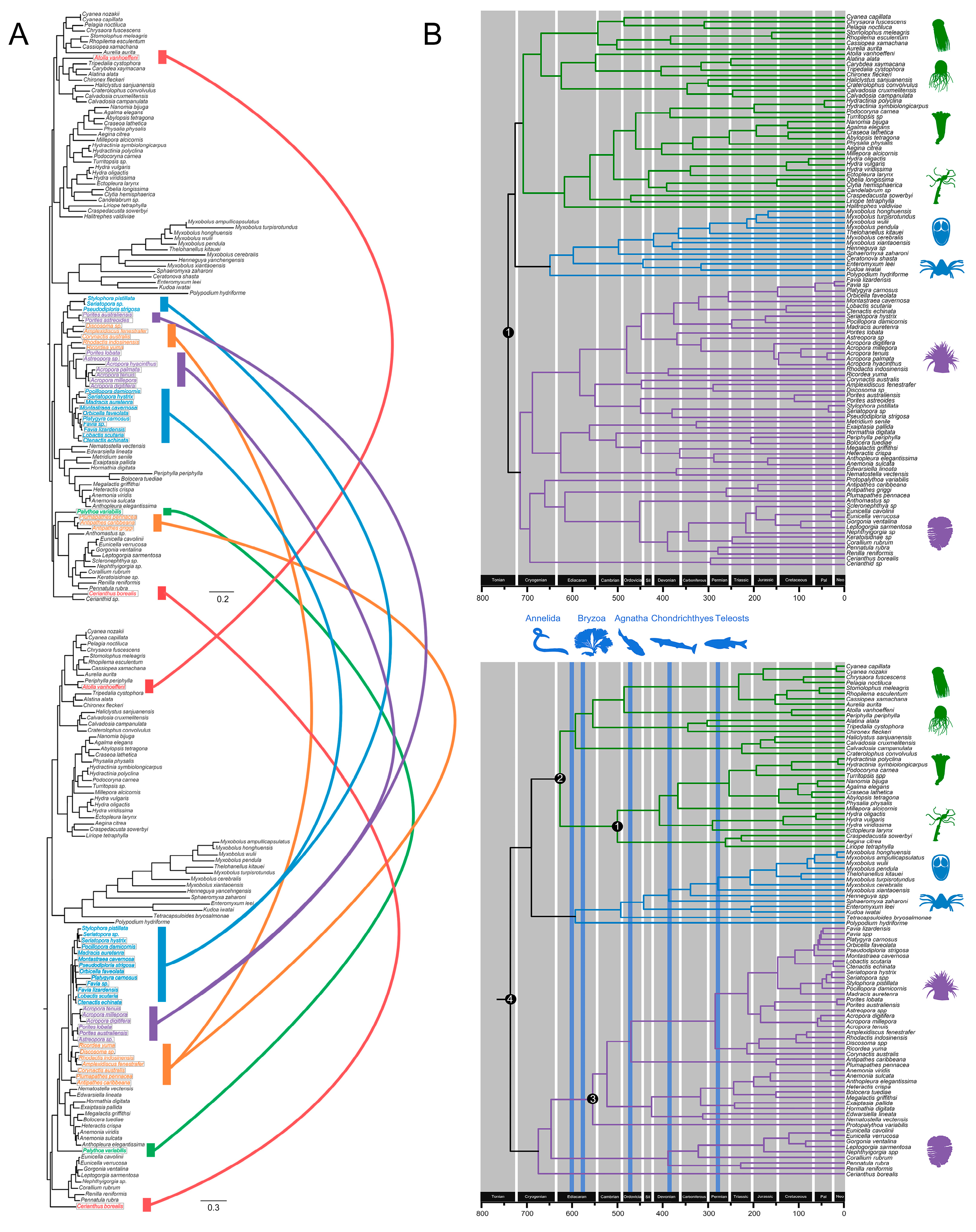 Biology 11 00091 g006
