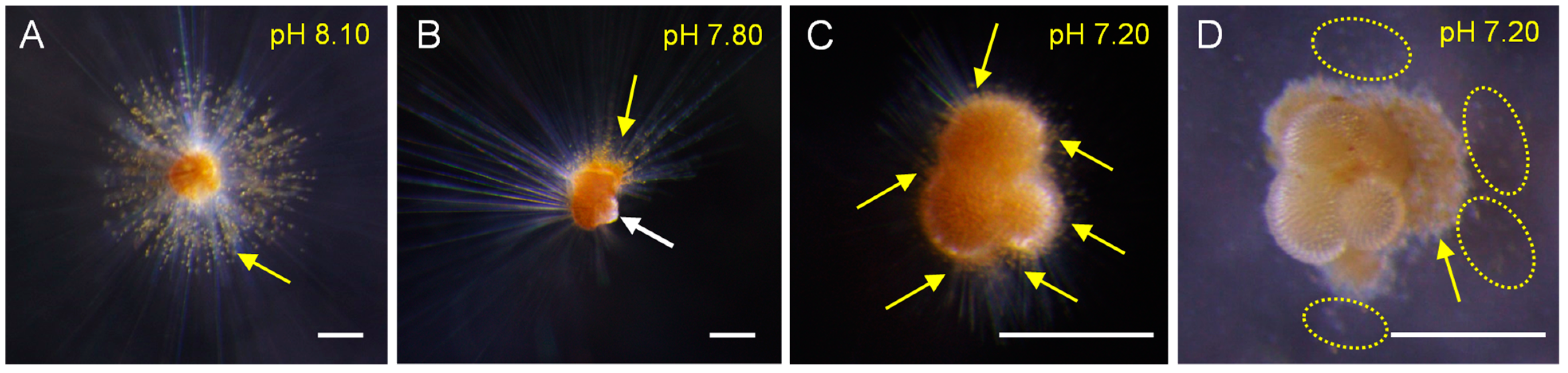 Biology 11 00098 g003