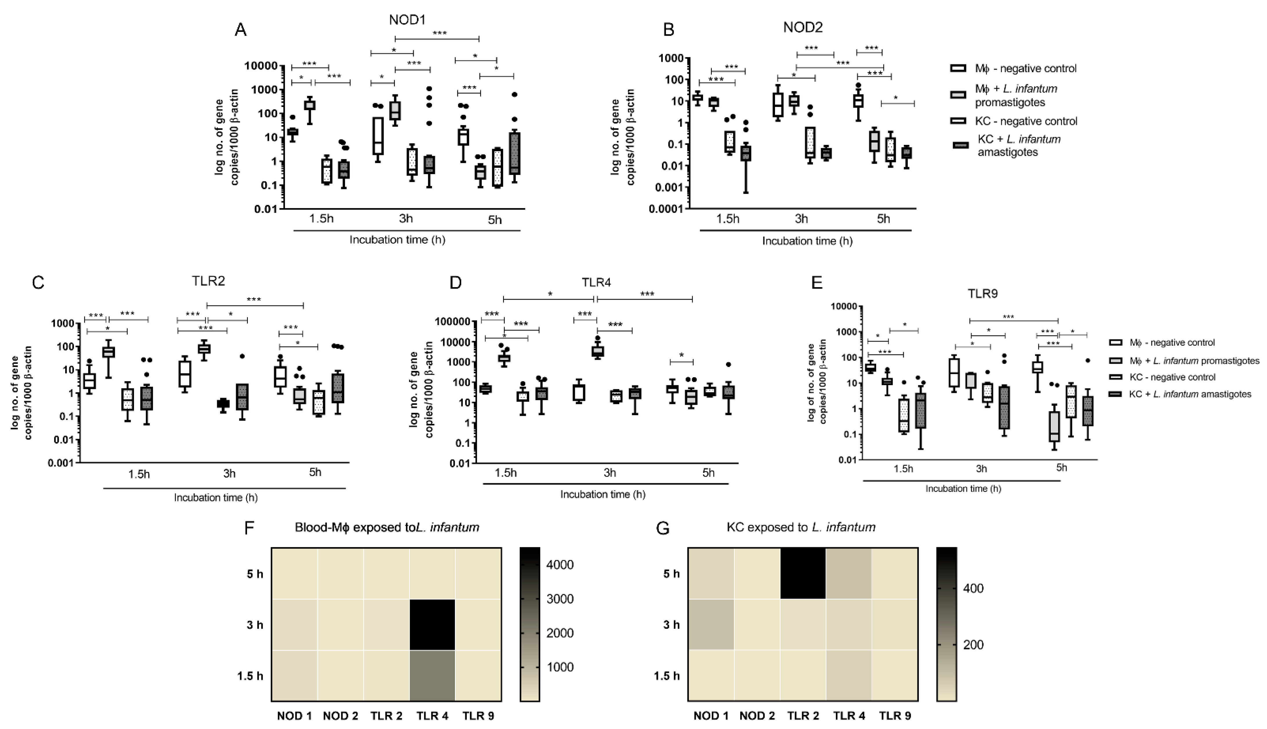 Biology 11 00100 g004