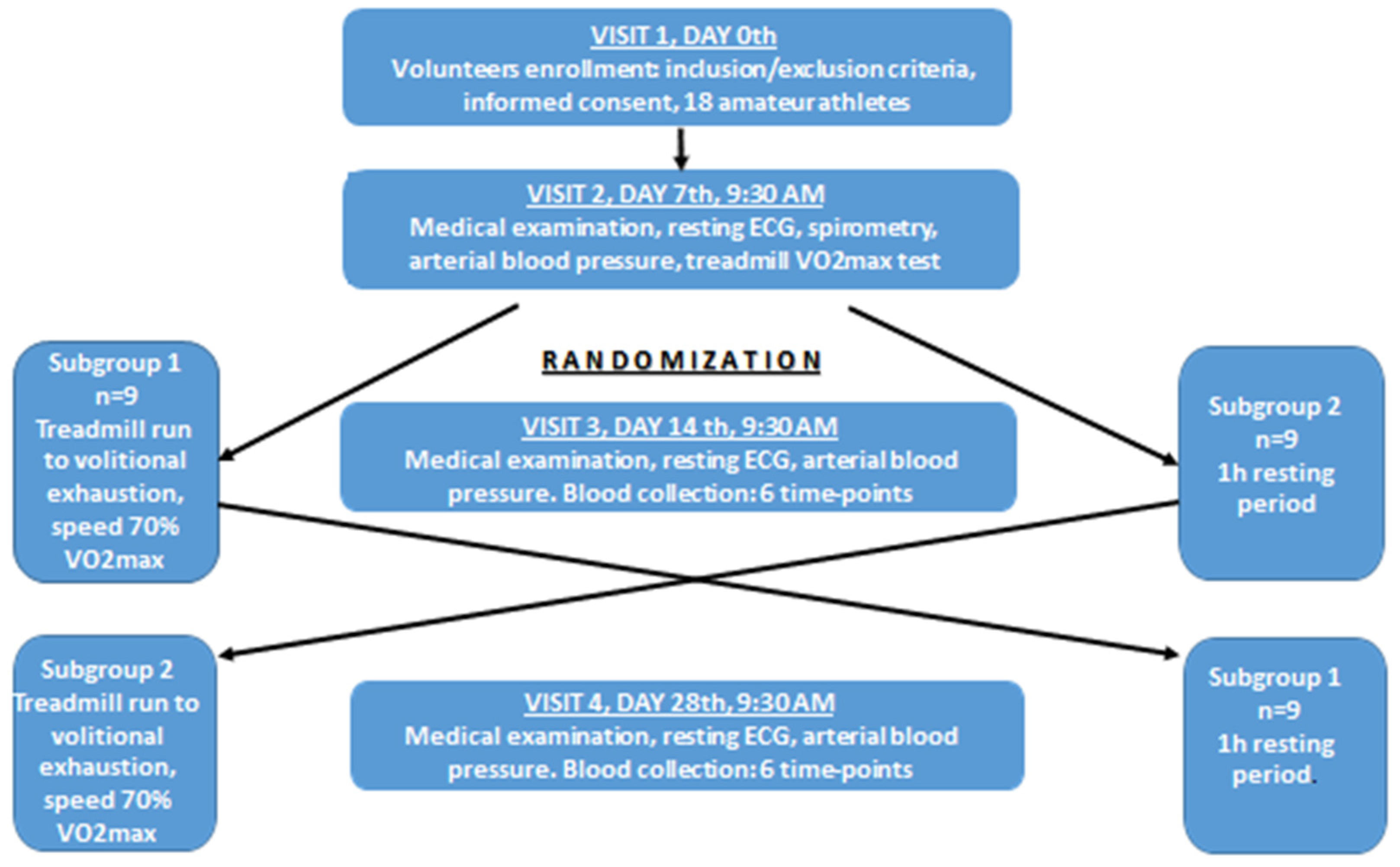 Biology 11 00103 g001