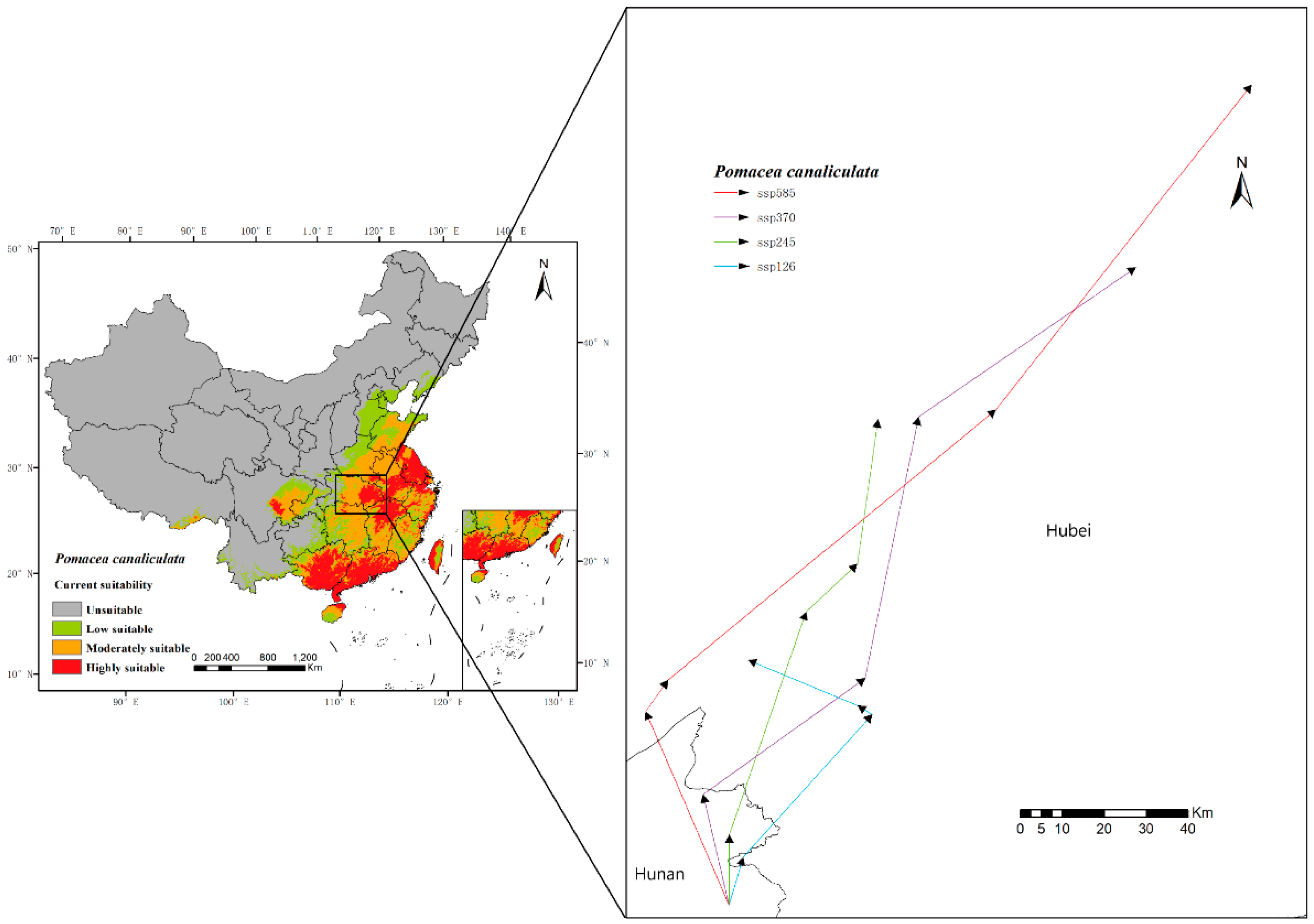 Biology 11 00110 g008