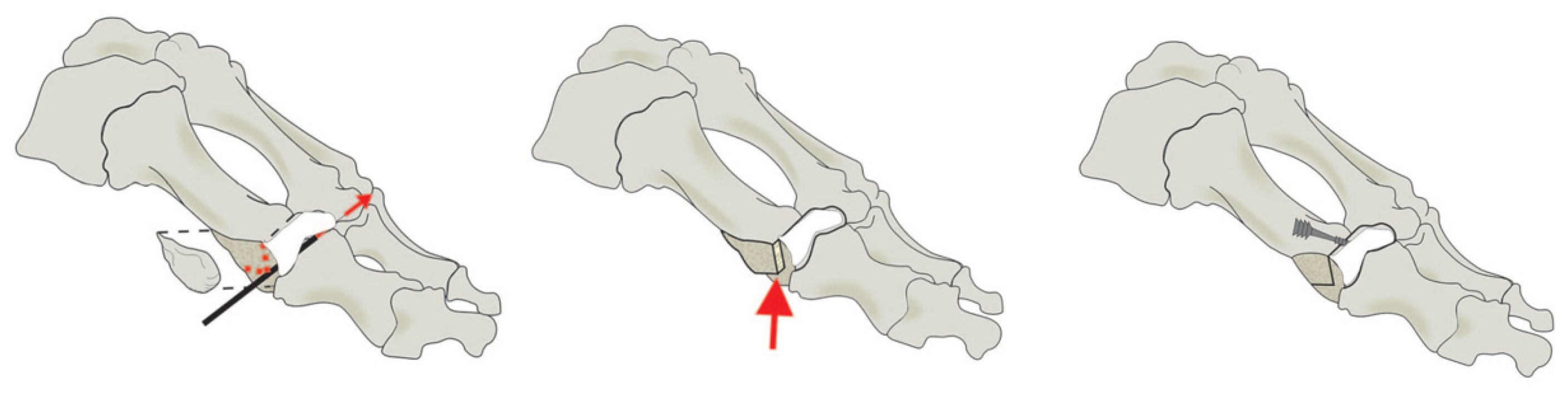 Biology 11 00127 g001