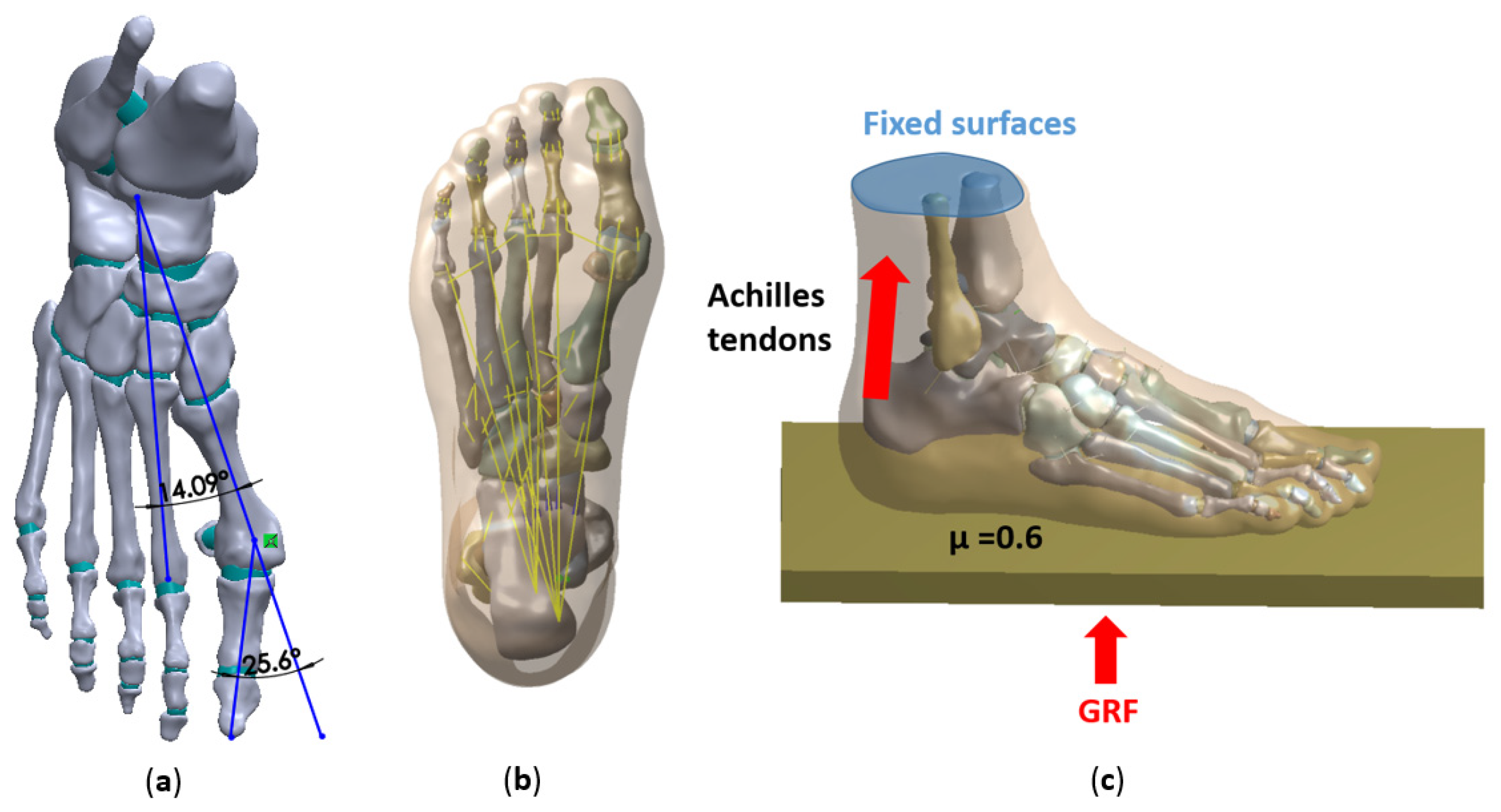 Biology 11 00127 g002