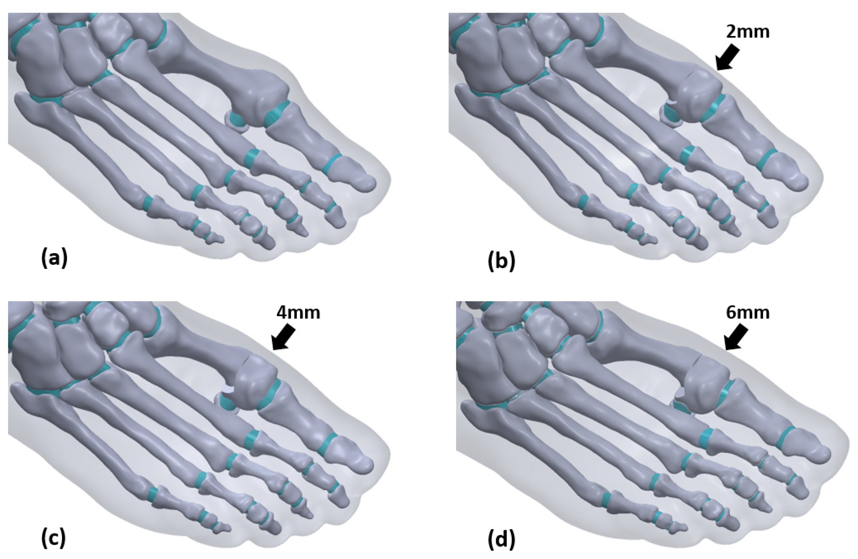 Biology 11 00127 g003