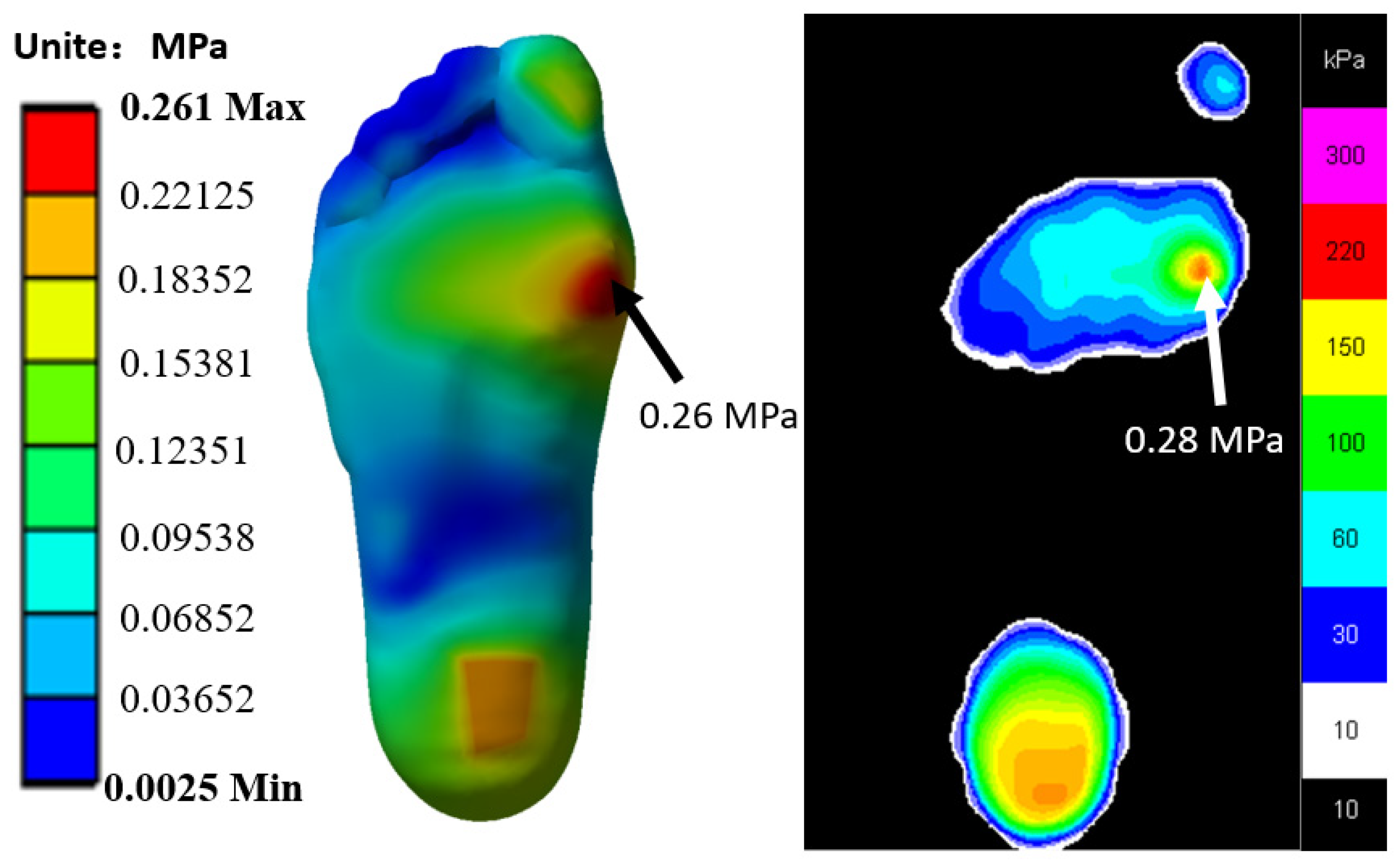 Biology 11 00127 g004