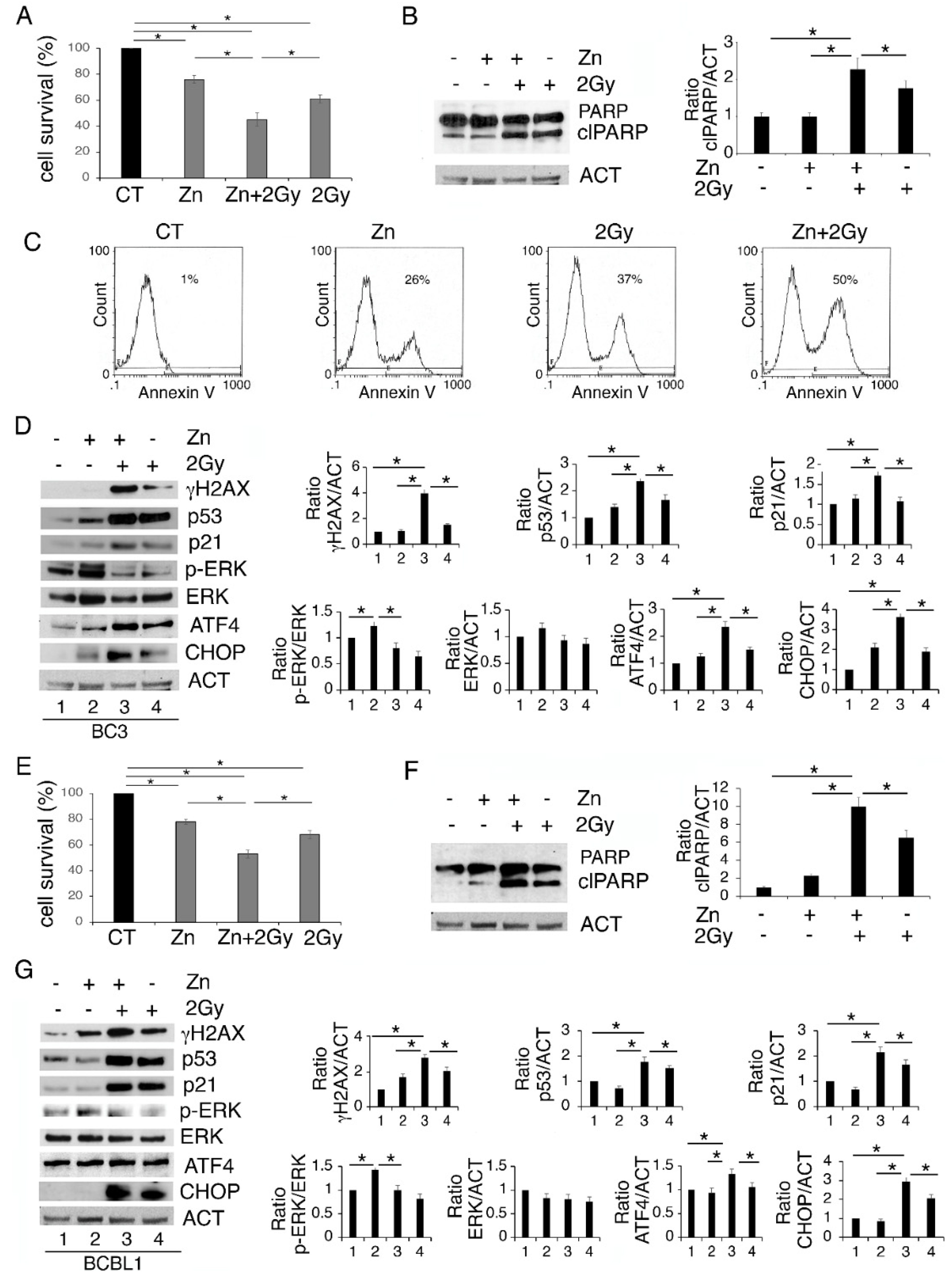 Biology 11 00132 g003