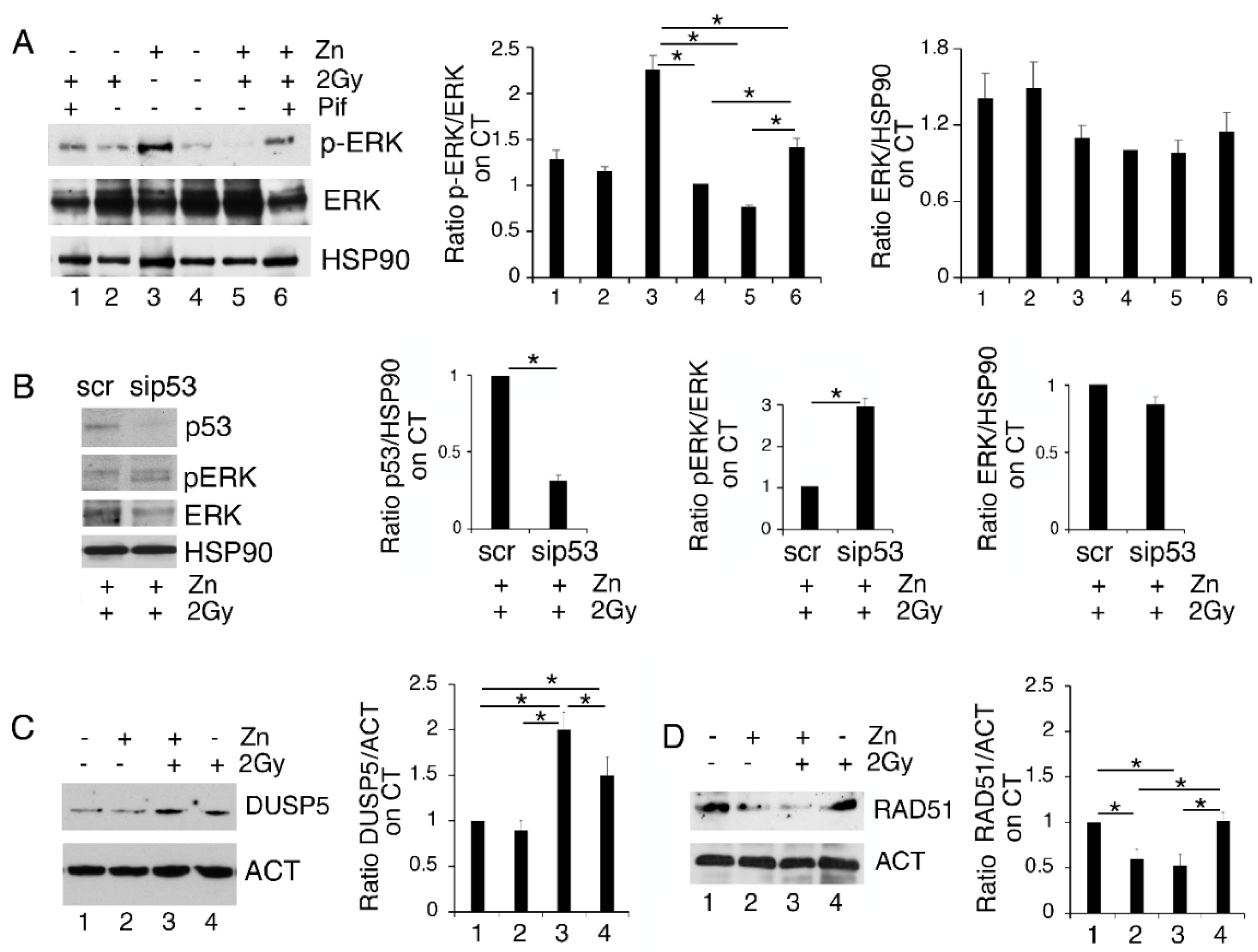 Biology 11 00132 g004