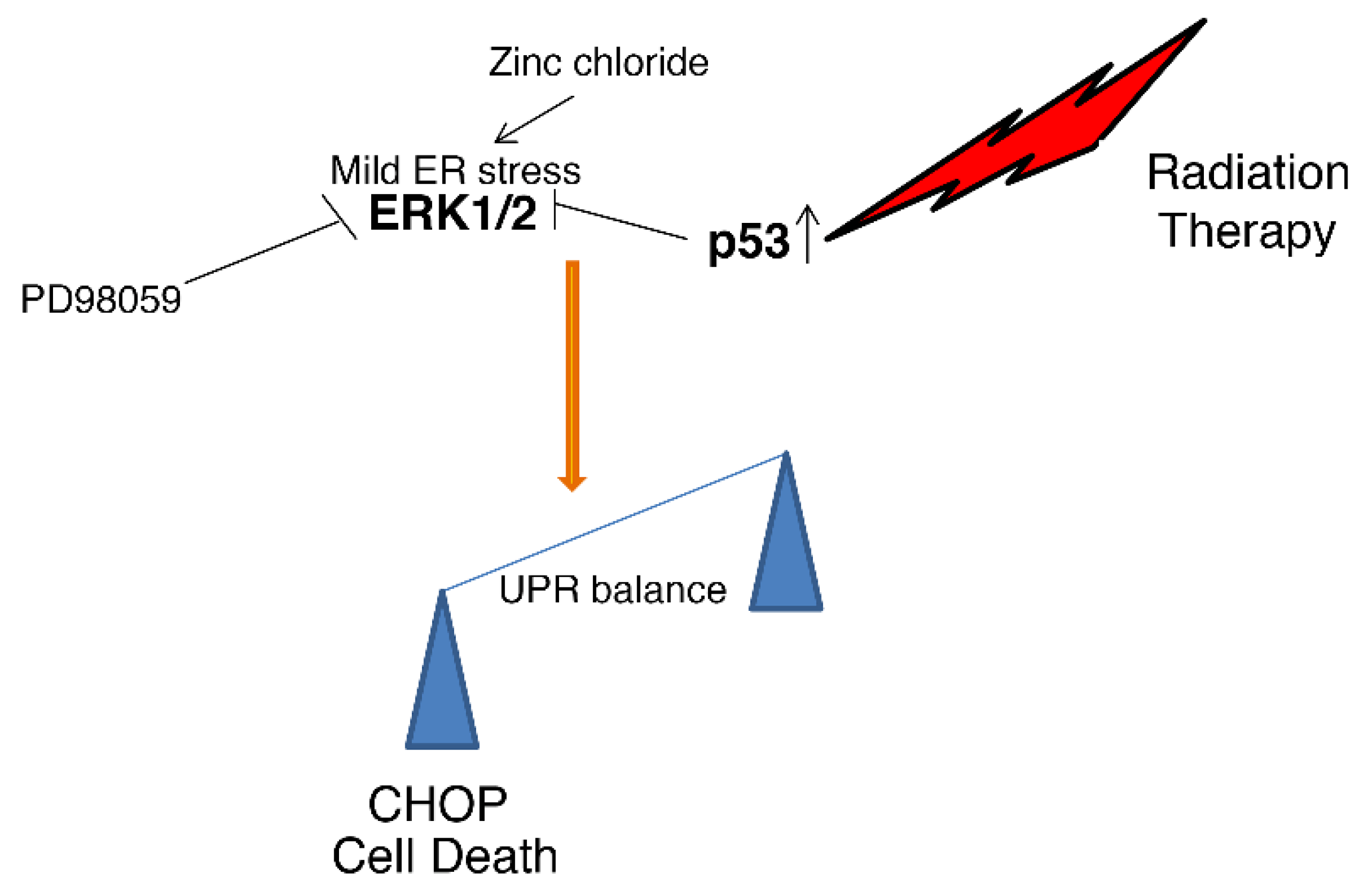 Biology 11 00132 g005