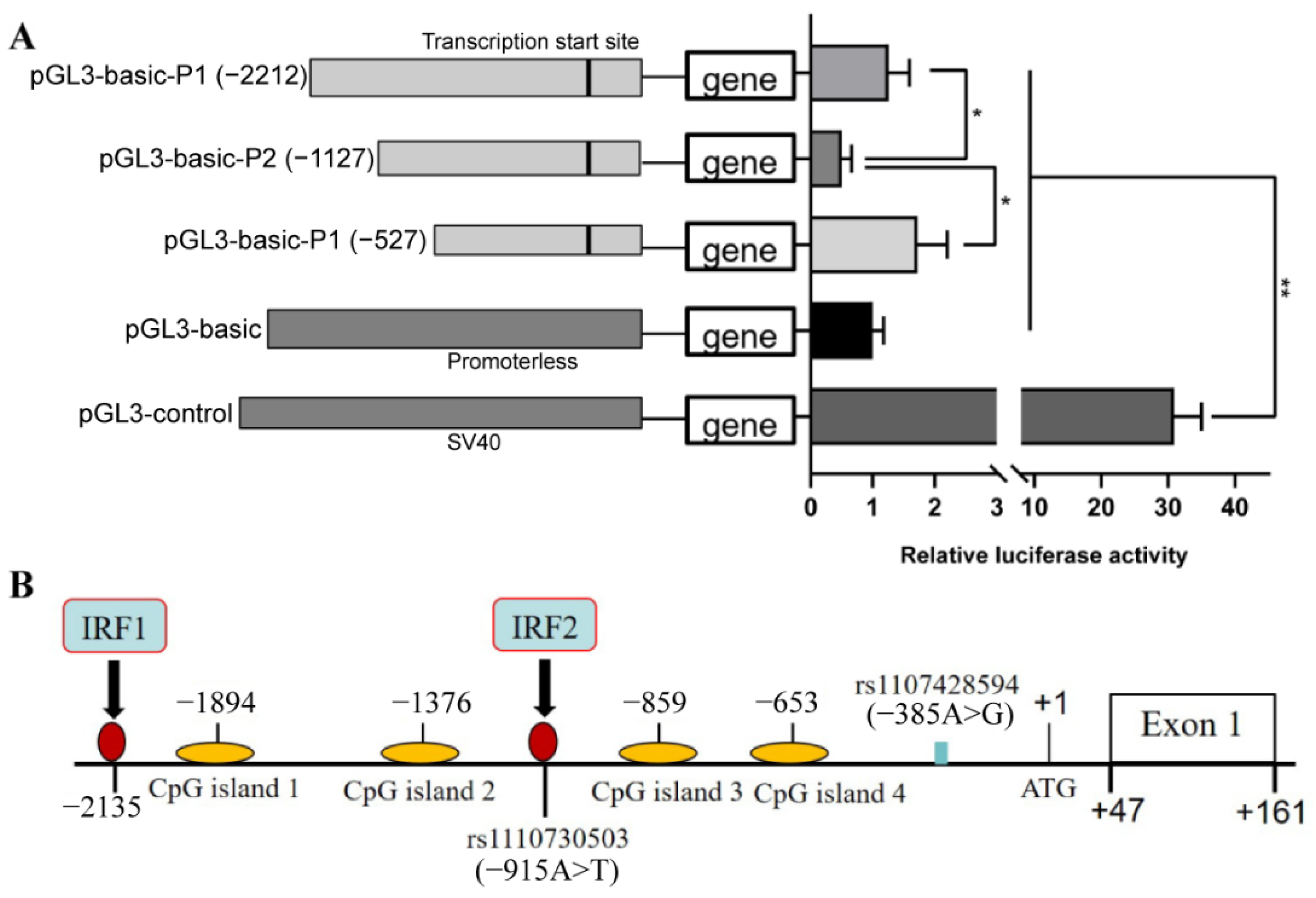 Biology 11 00135 g001