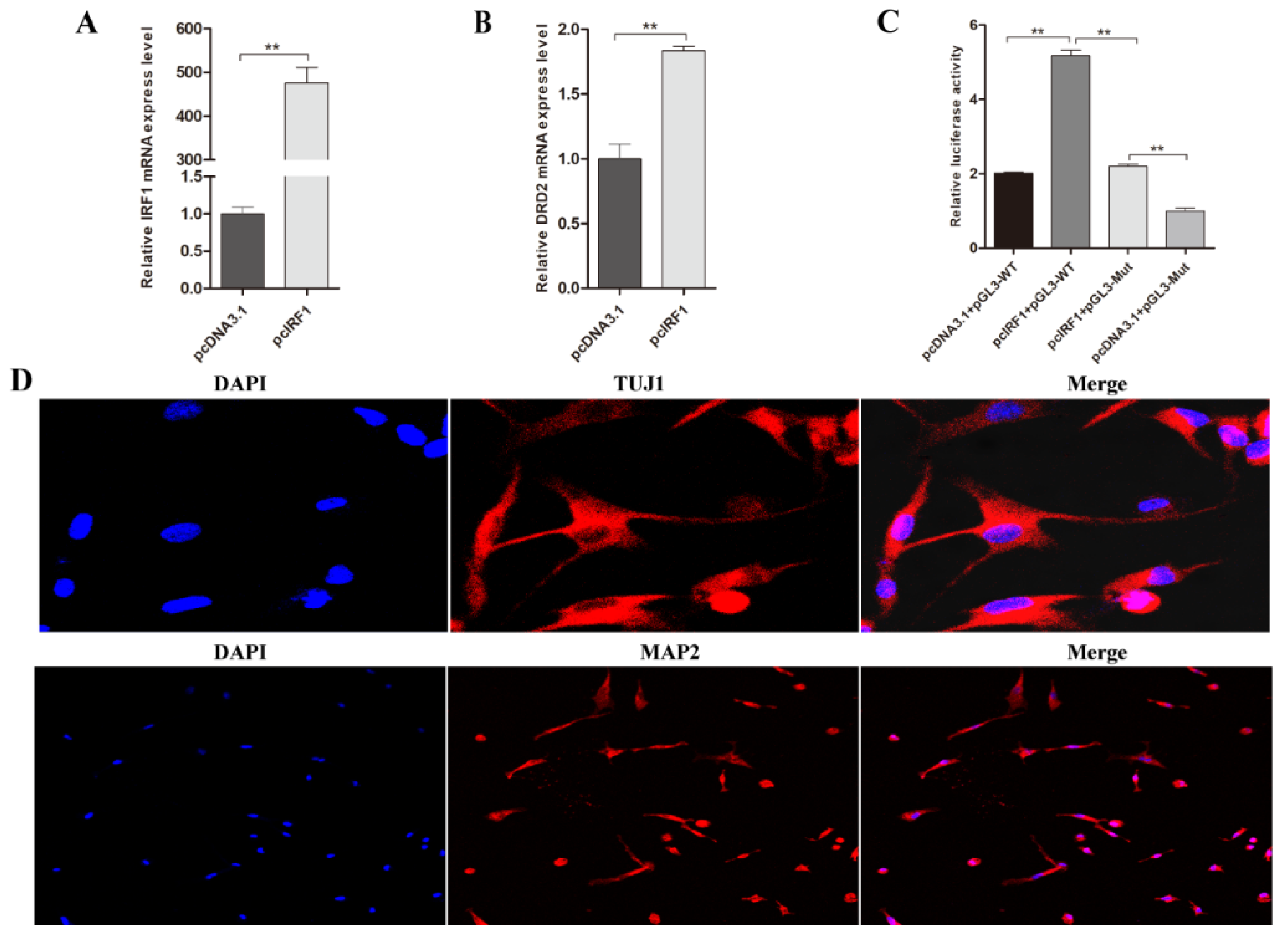 Biology 11 00135 g004a