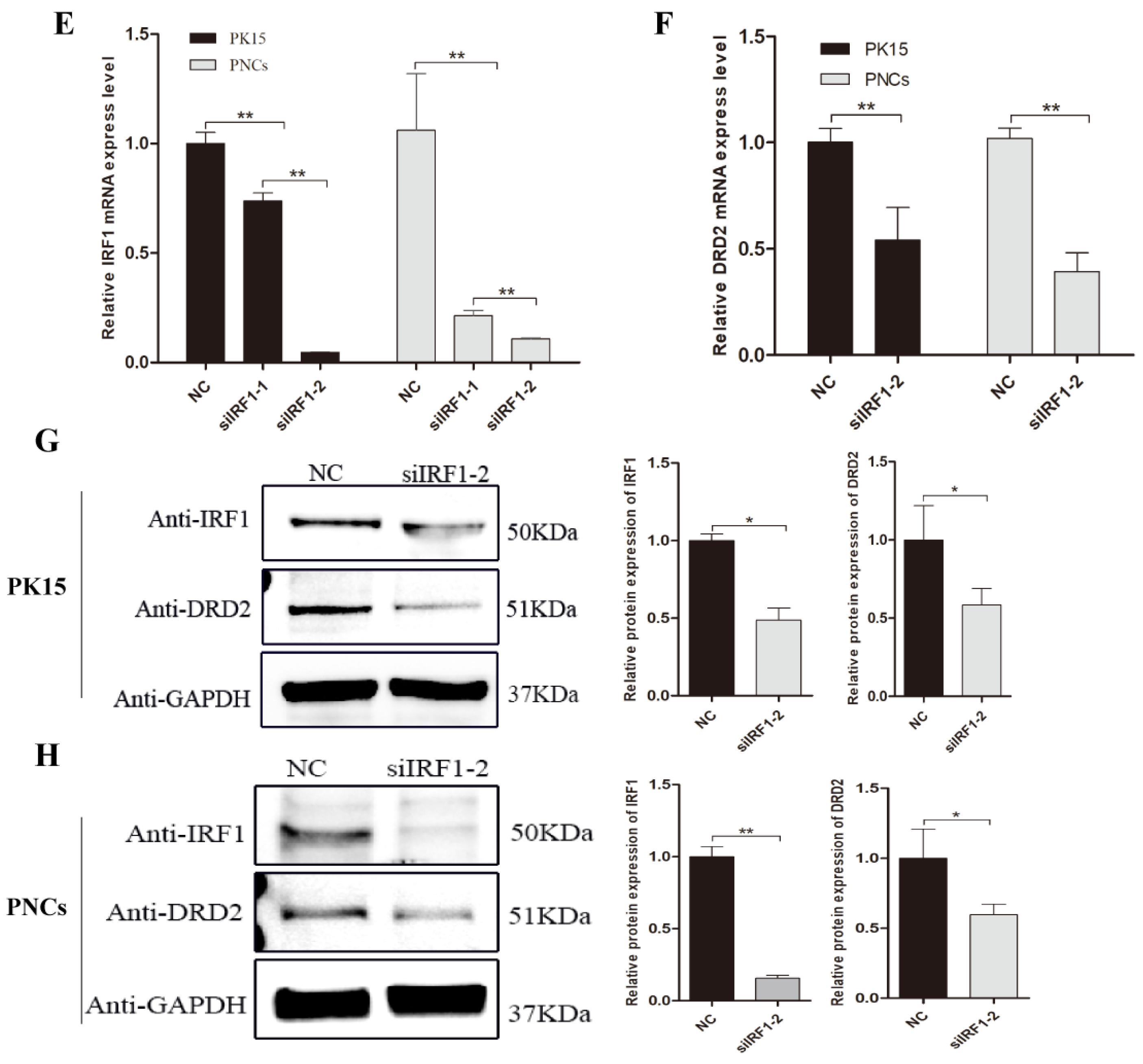 Biology 11 00135 g004b