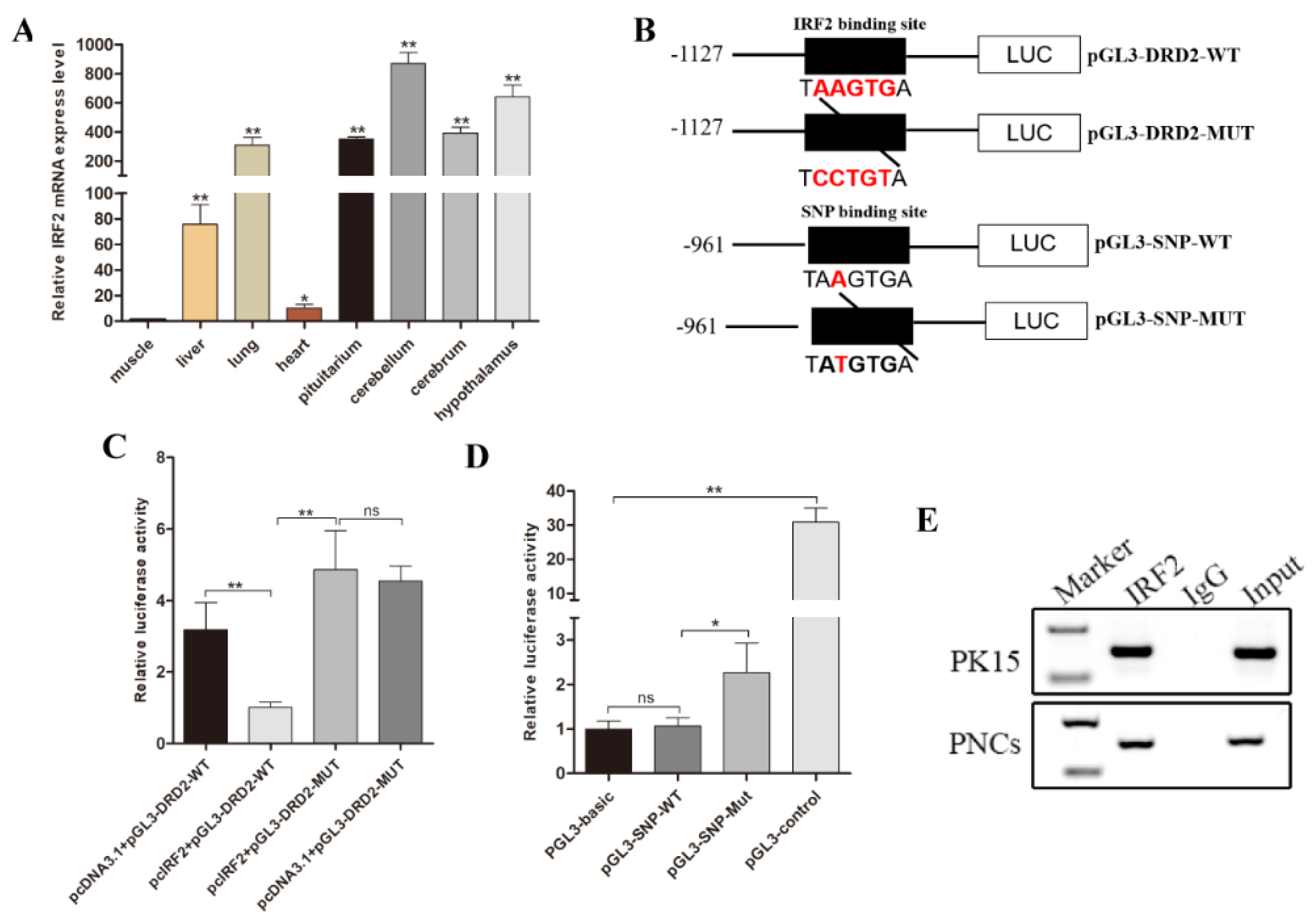 Biology 11 00135 g005