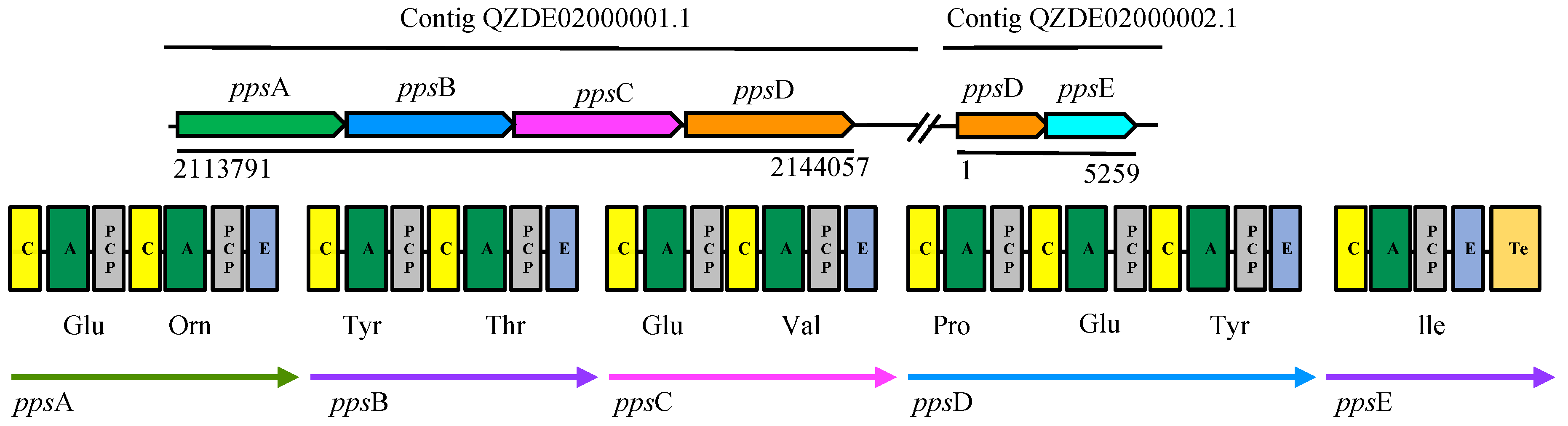 Biology 11 00137 g003