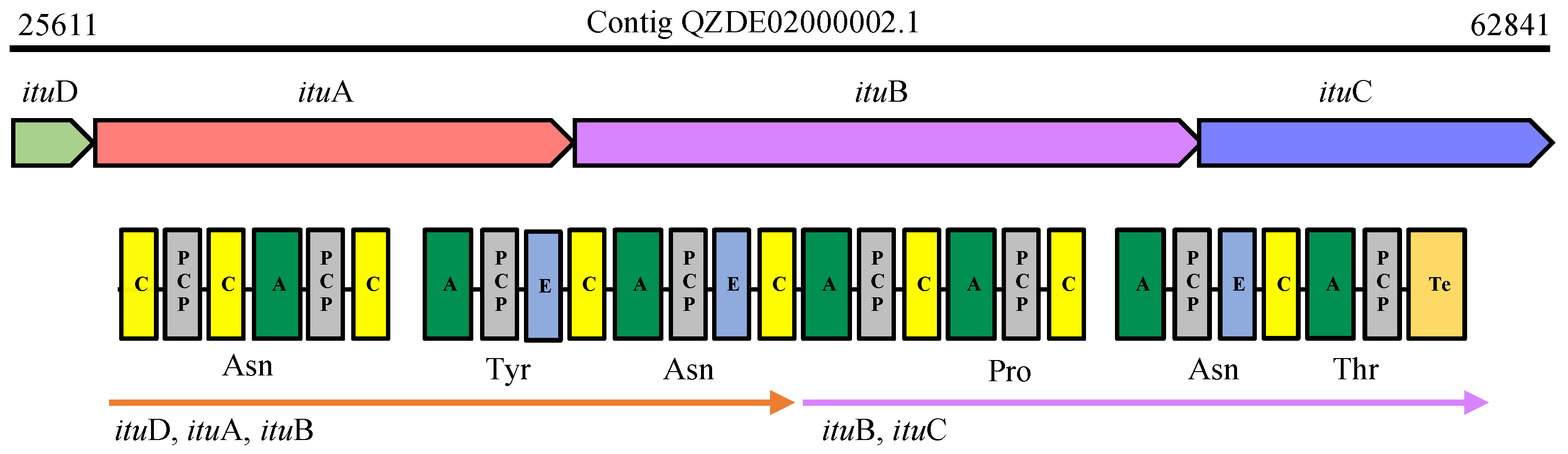 Biology 11 00137 g004