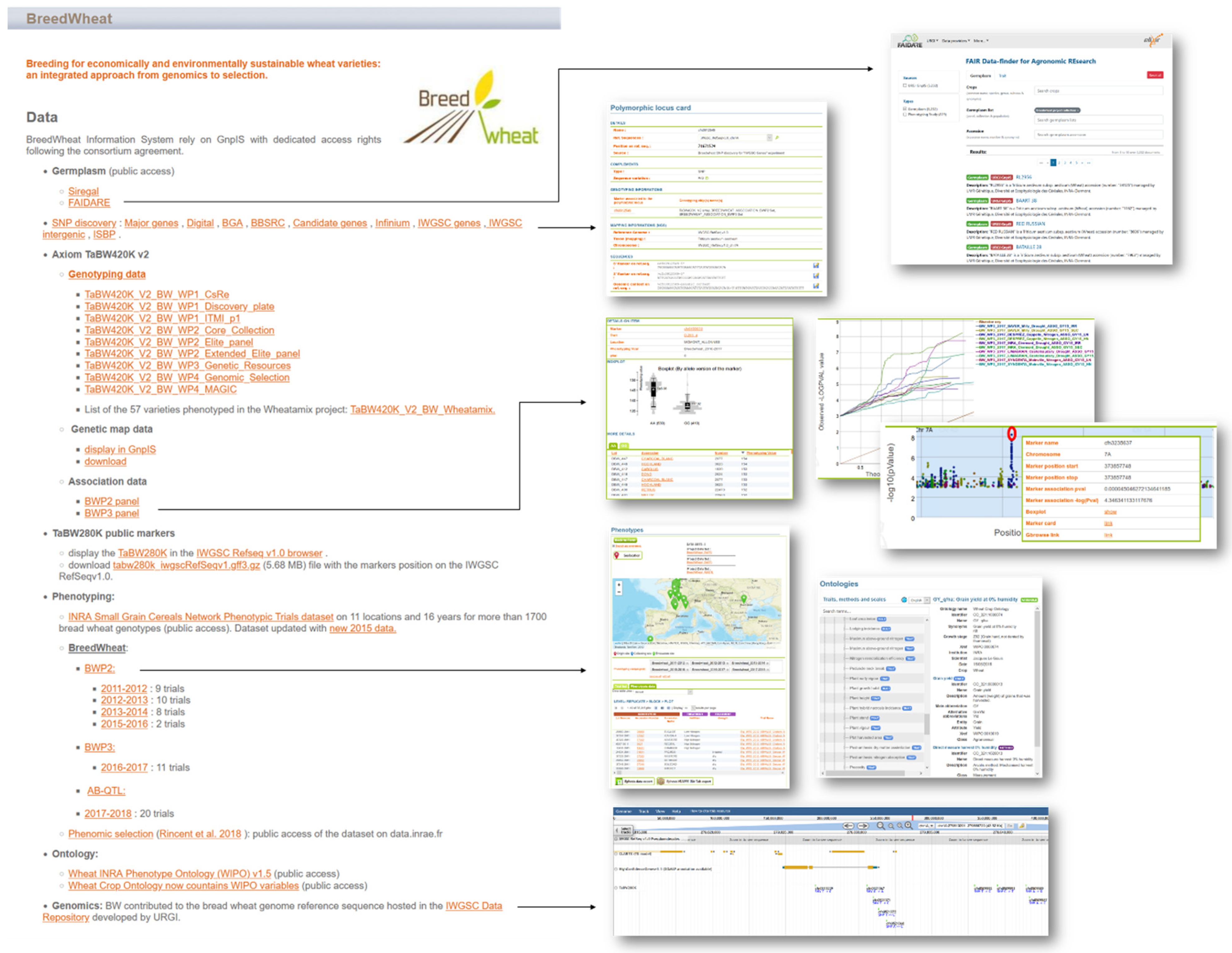 long path tool 5.2.1 torrent