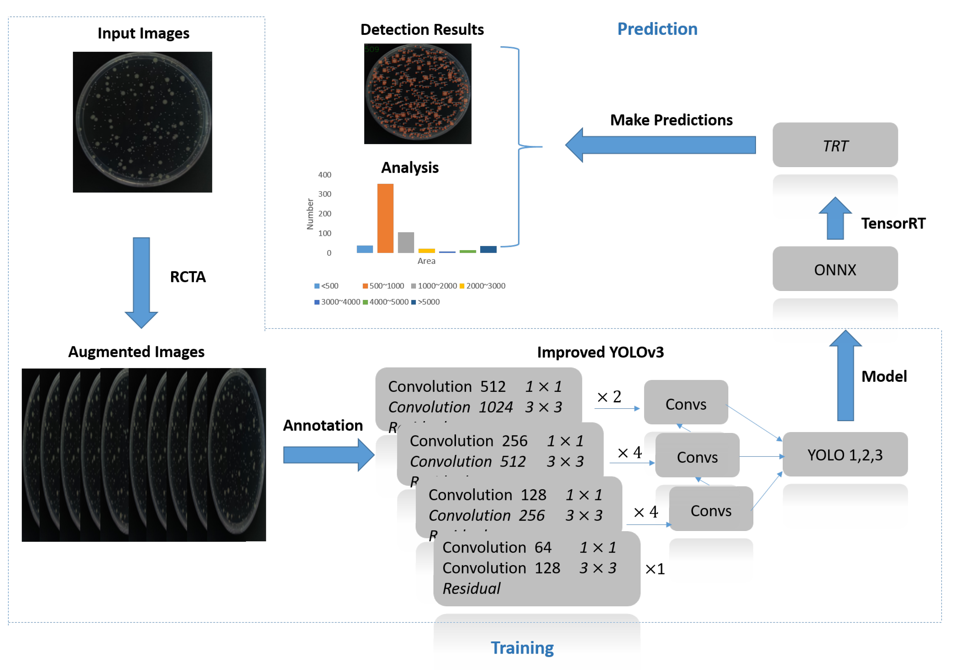Biology 11 00156 g002 Biology 11 00156 g002