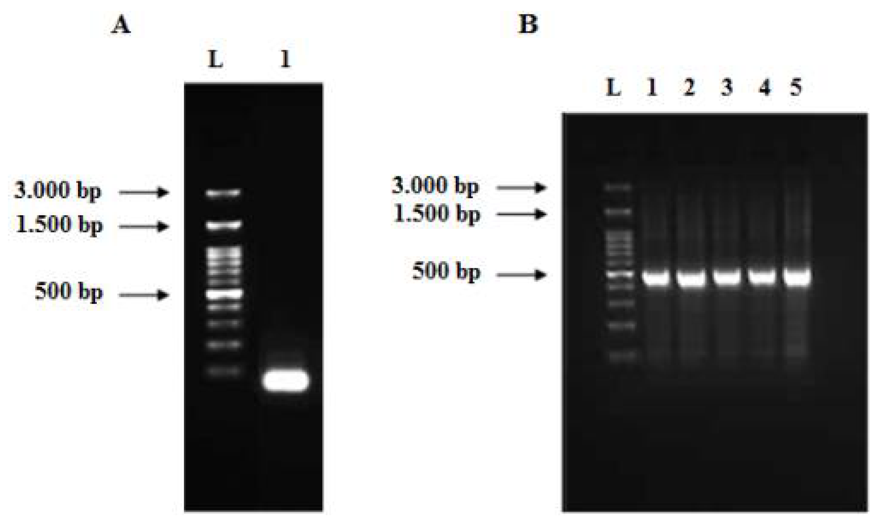 Biology 11 00157 g004