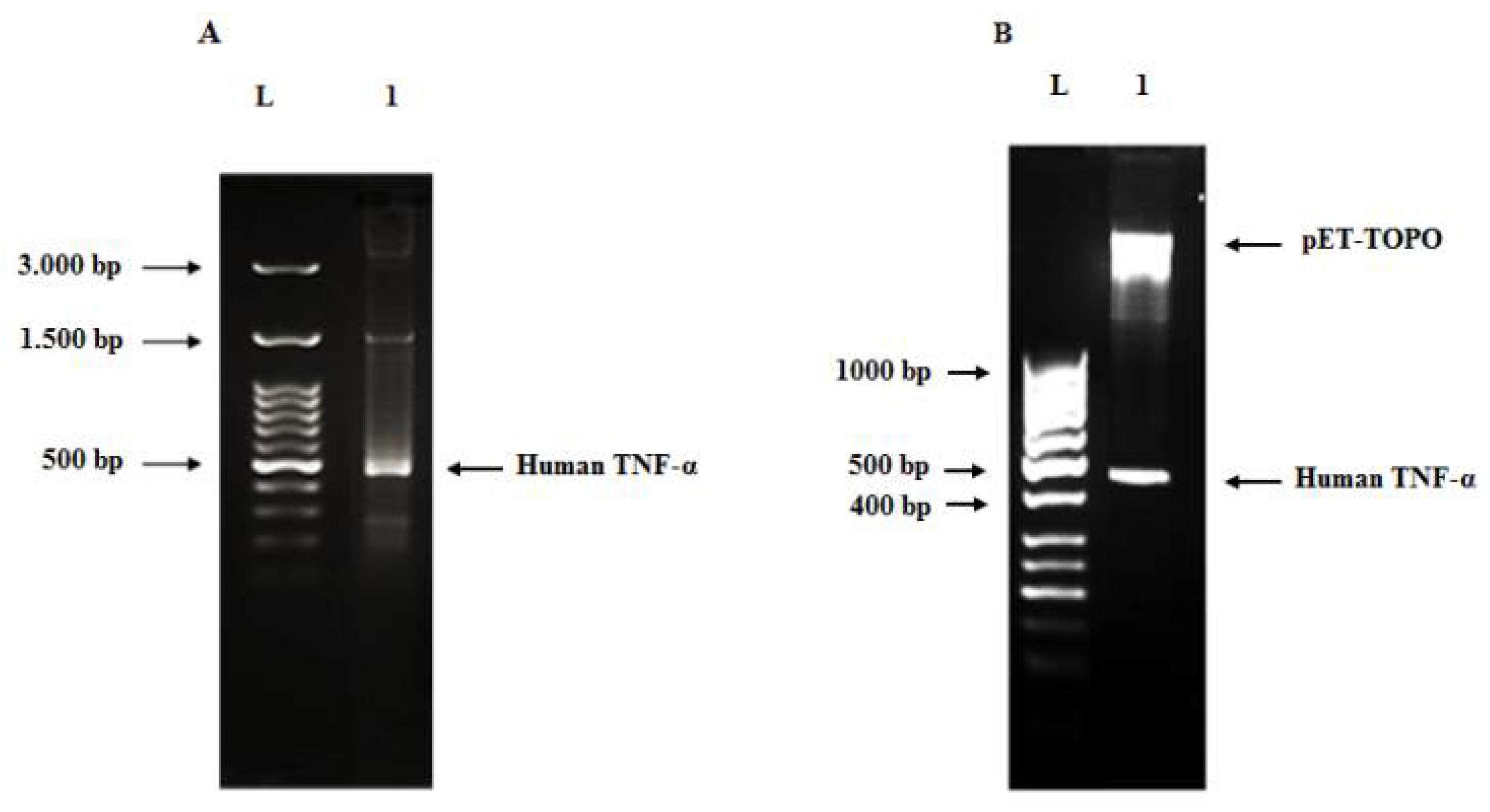 Biology 11 00157 g006