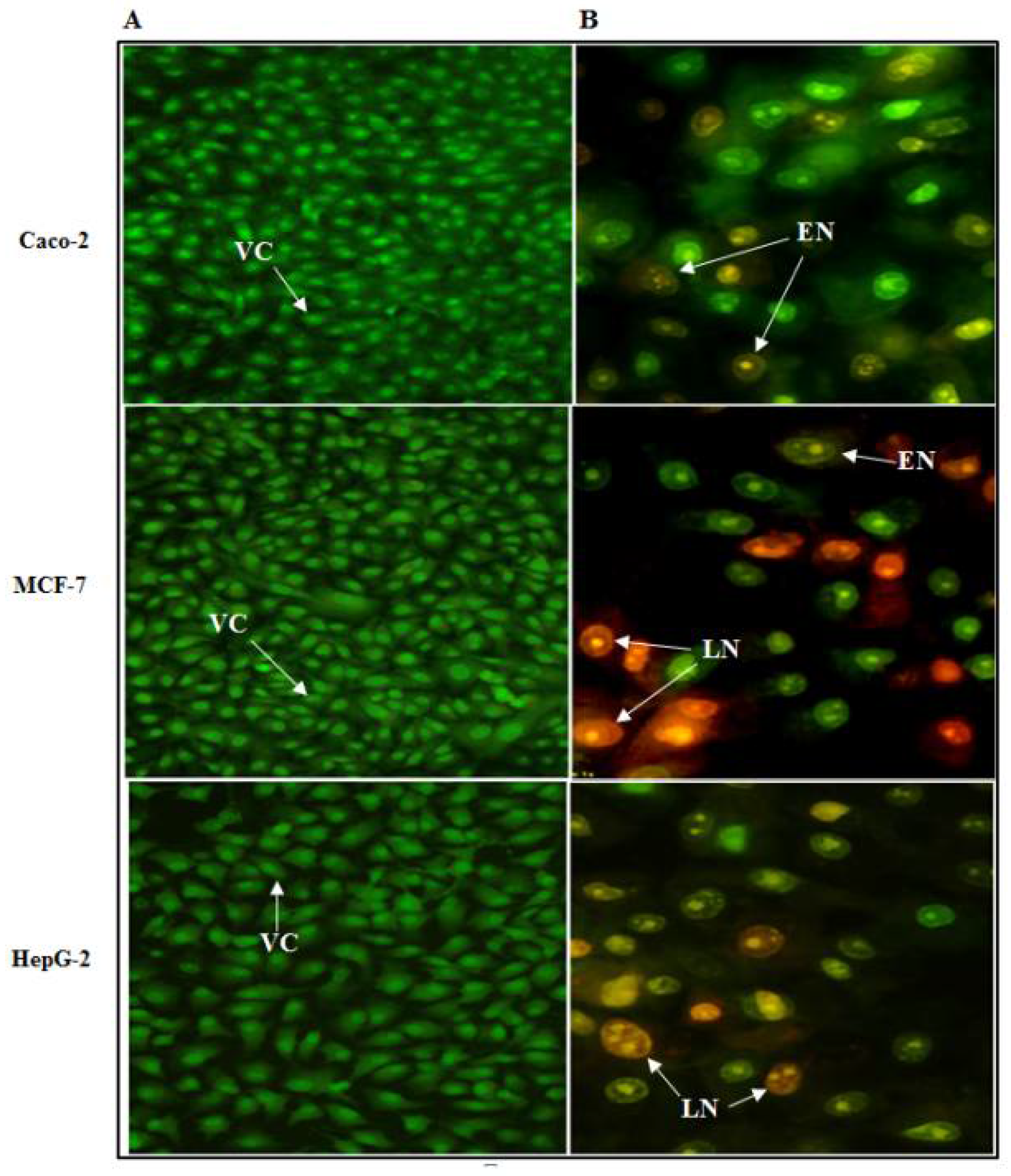 Biology 11 00157 g013