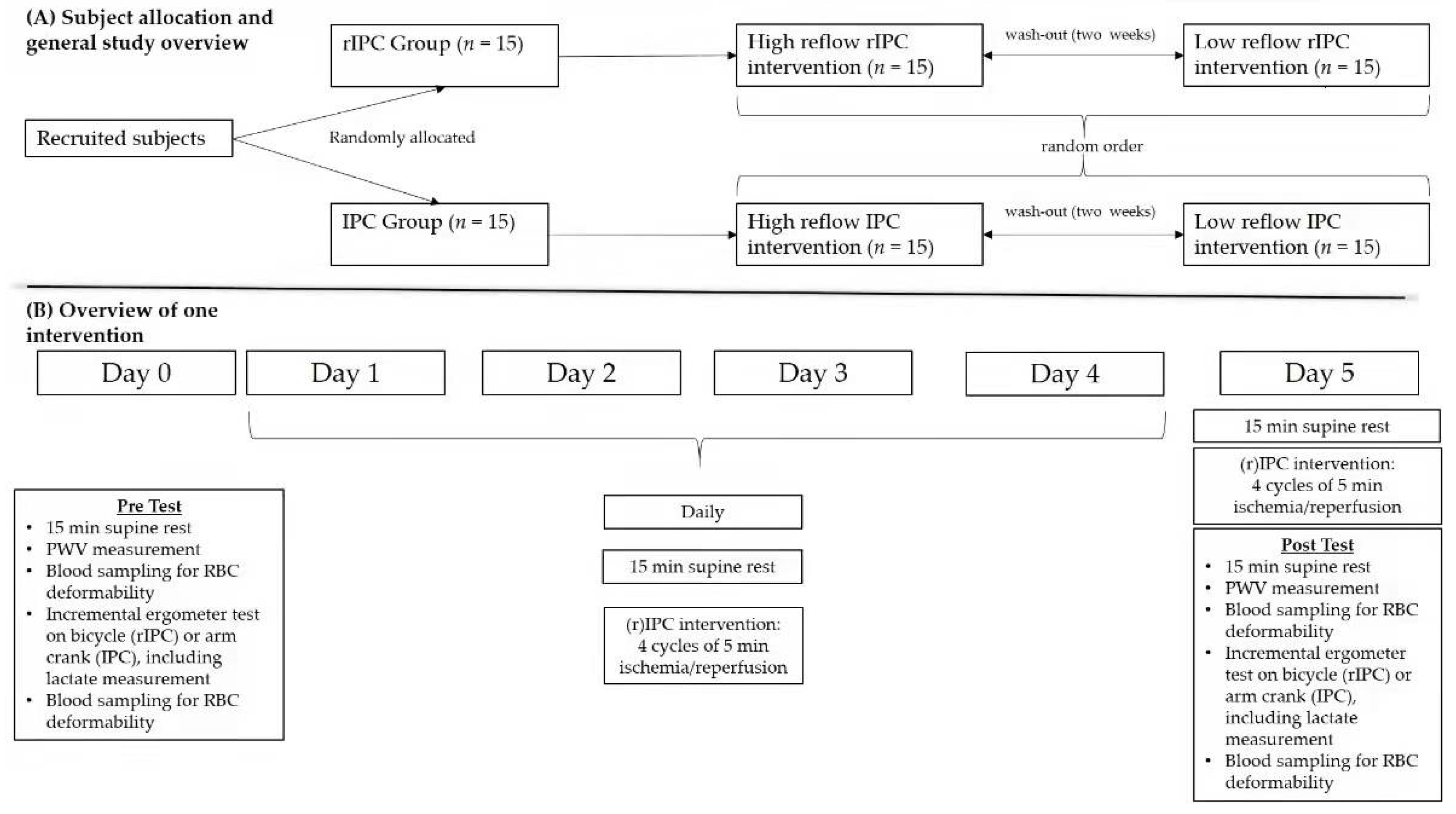 Biology 11 00163 g001