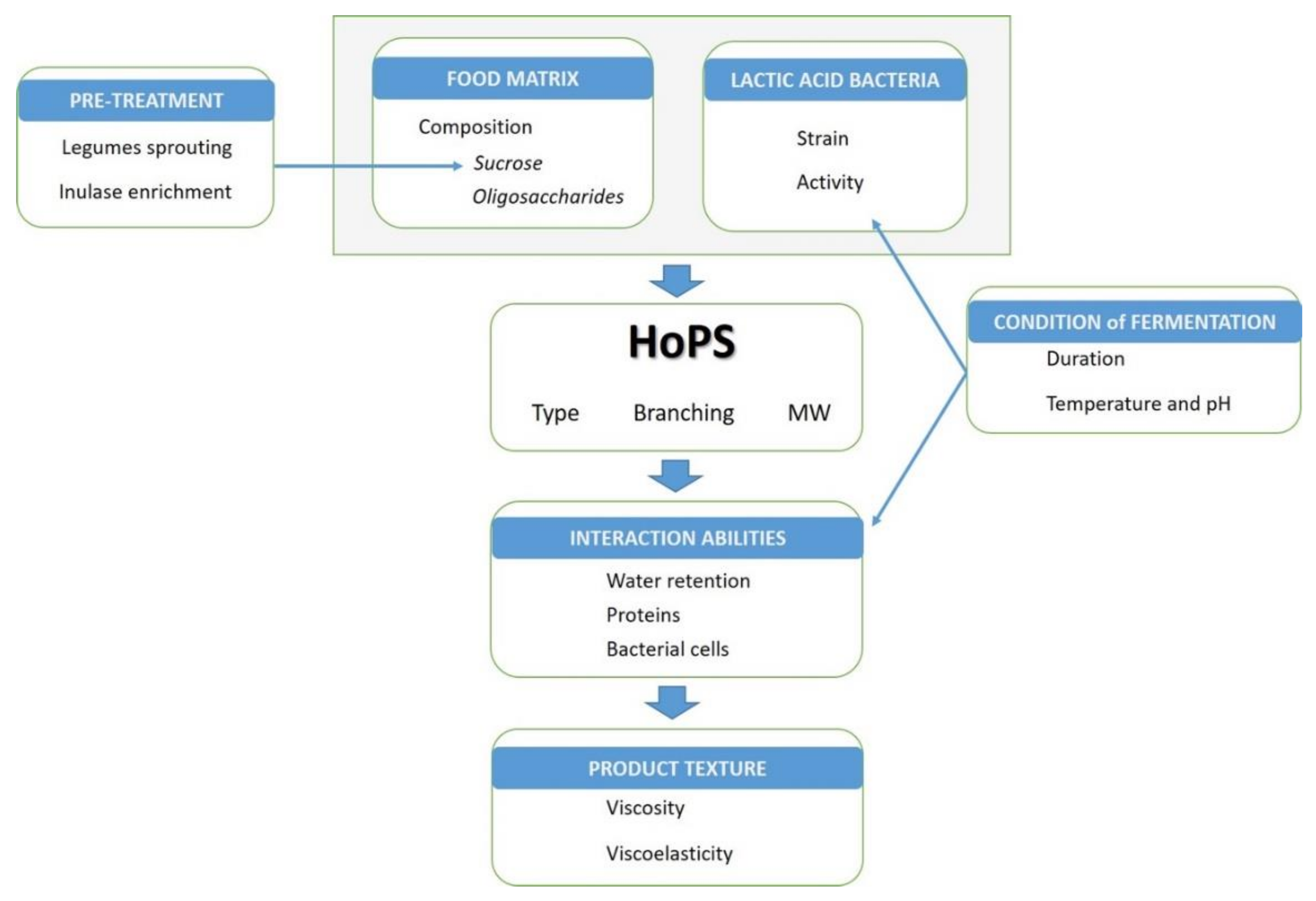 Biology 11 00171 g002