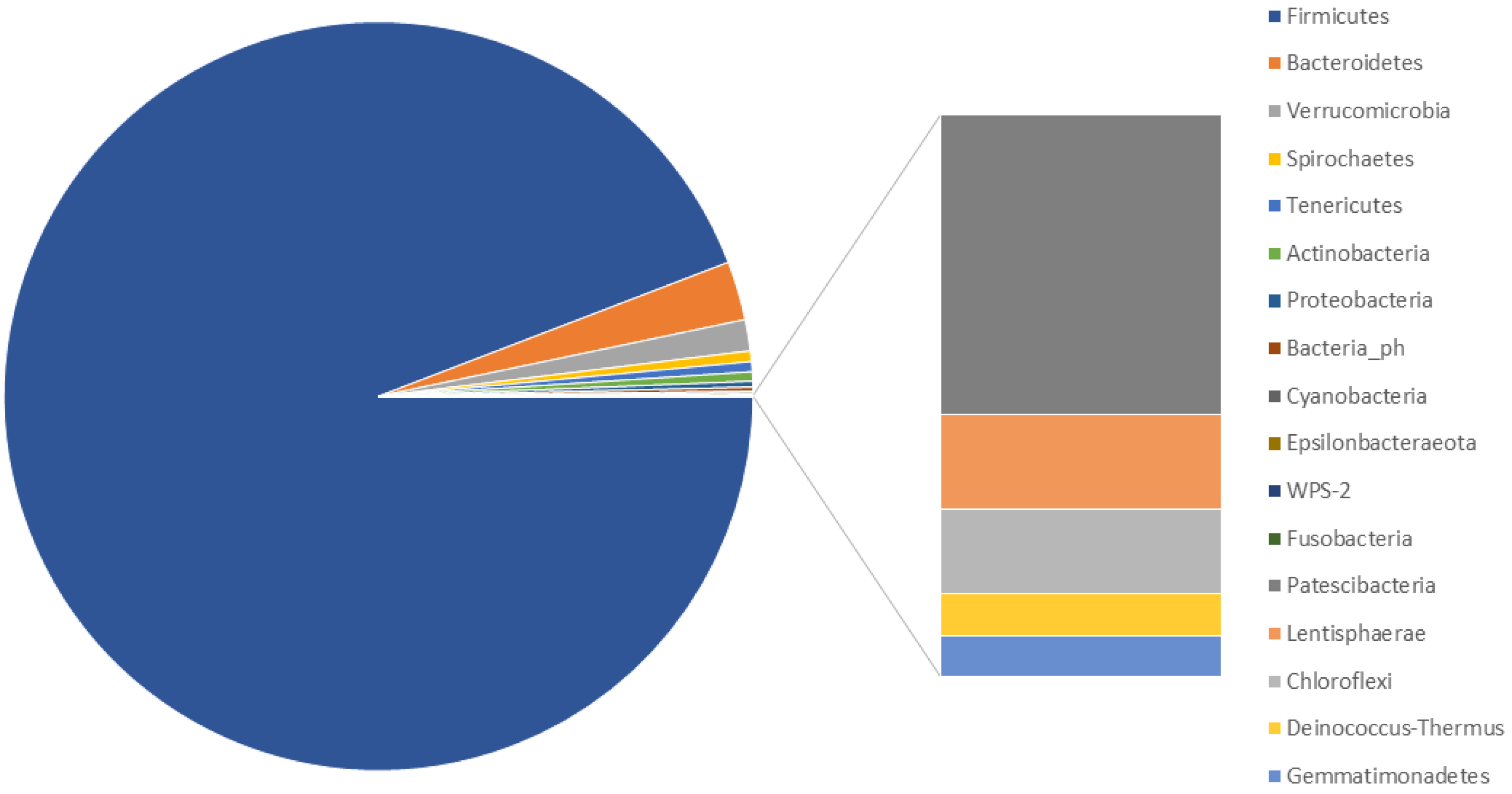 Biology 11 00187 g002