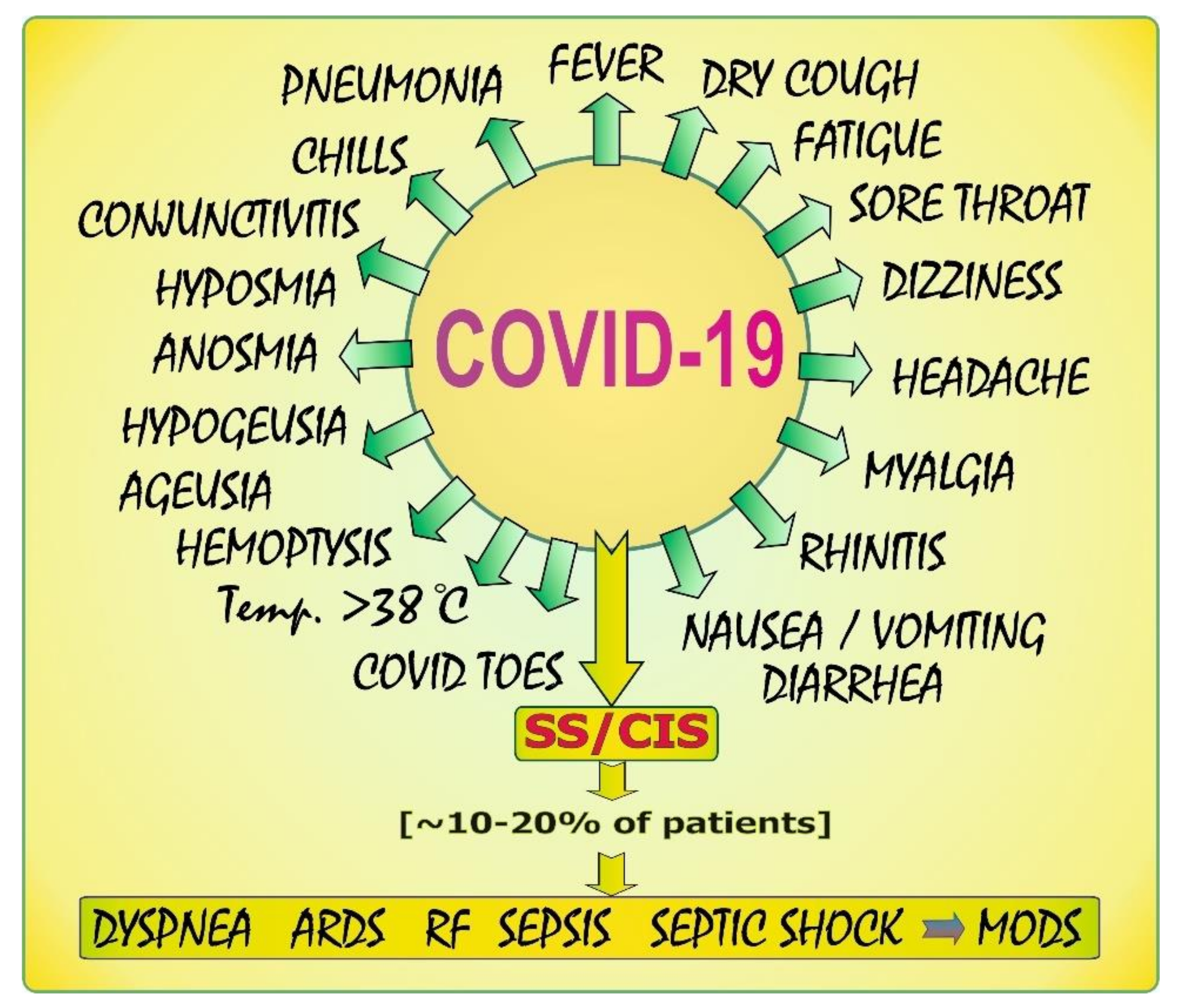 Biology 11 00215 g002