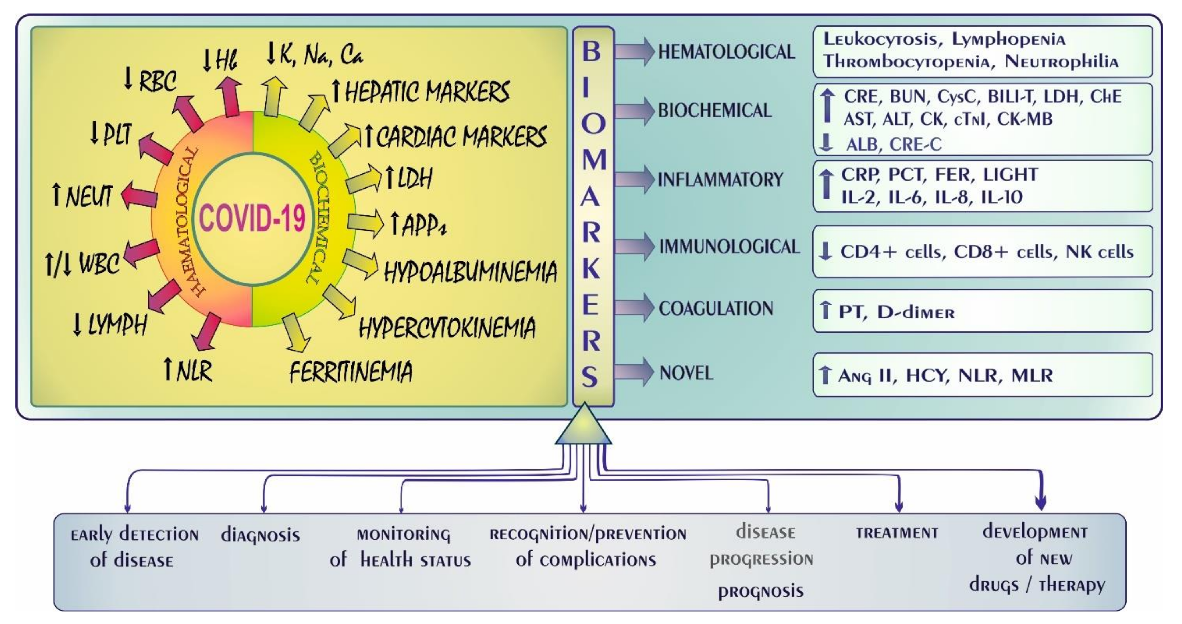 Biology 11 00215 g003