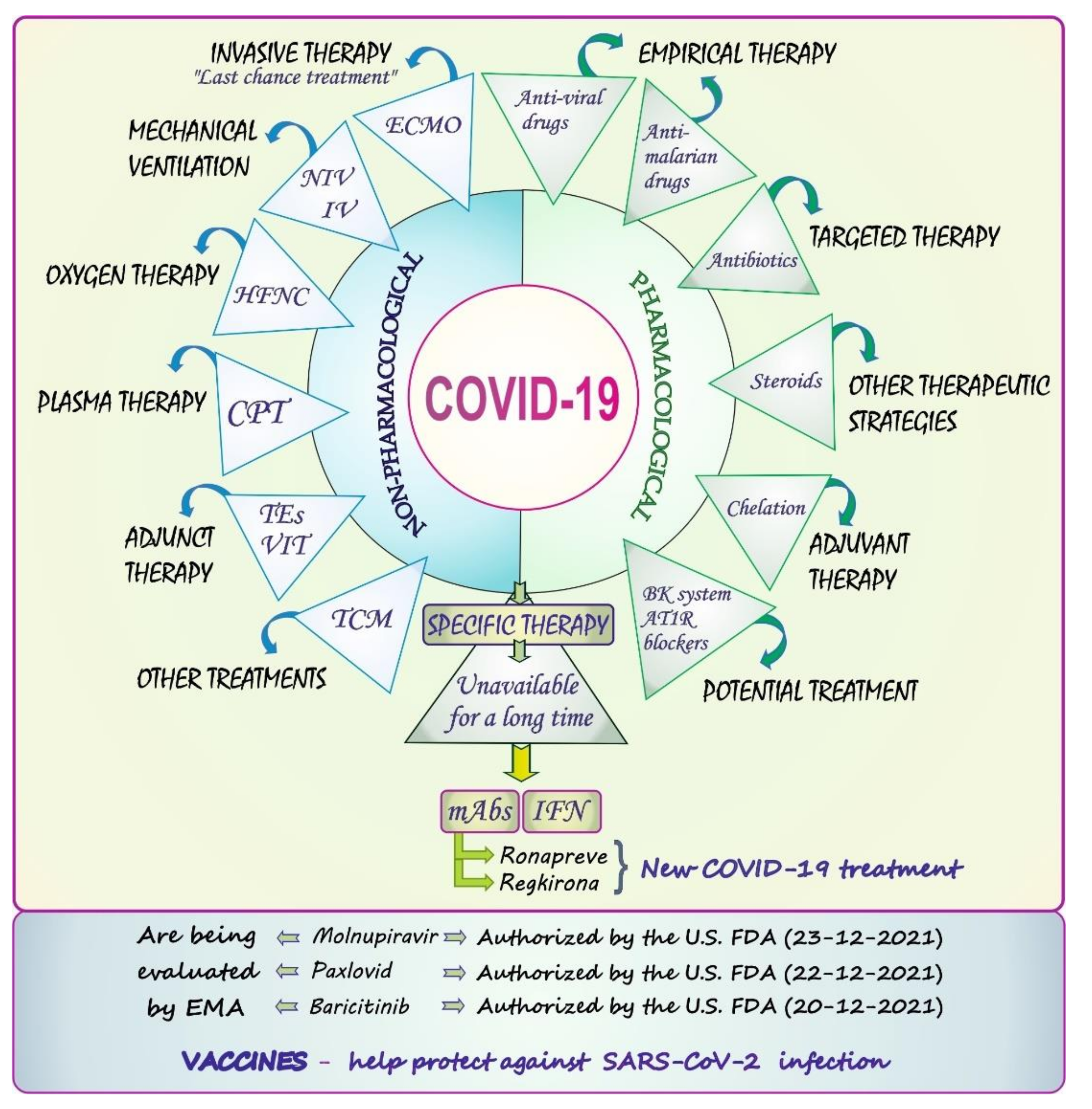 Biology 11 00215 g004