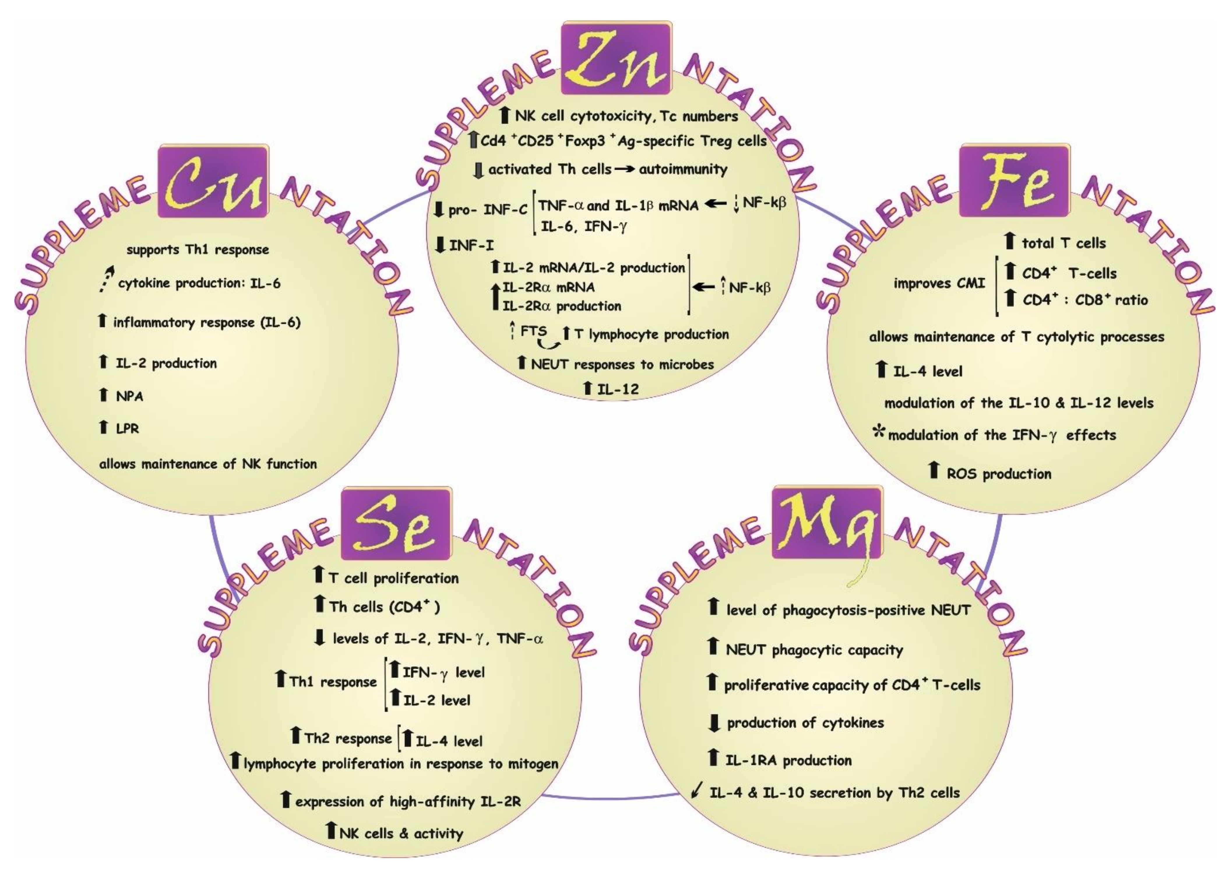 Biology 11 00215 g006