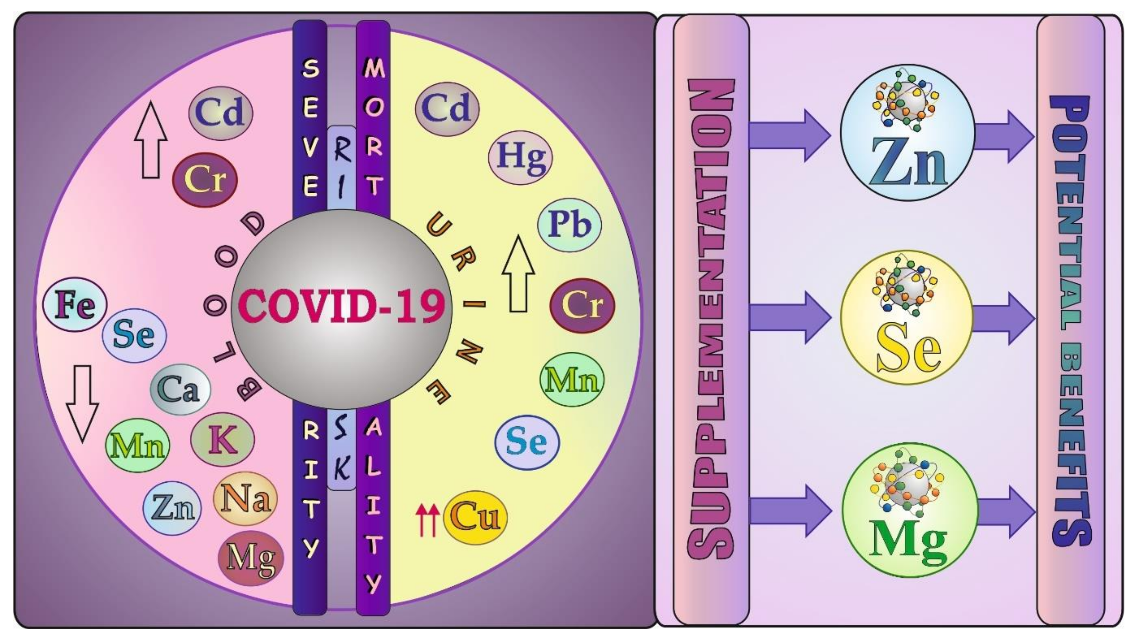 Biology 11 00215 g007