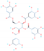 Biology 11 00258 i001