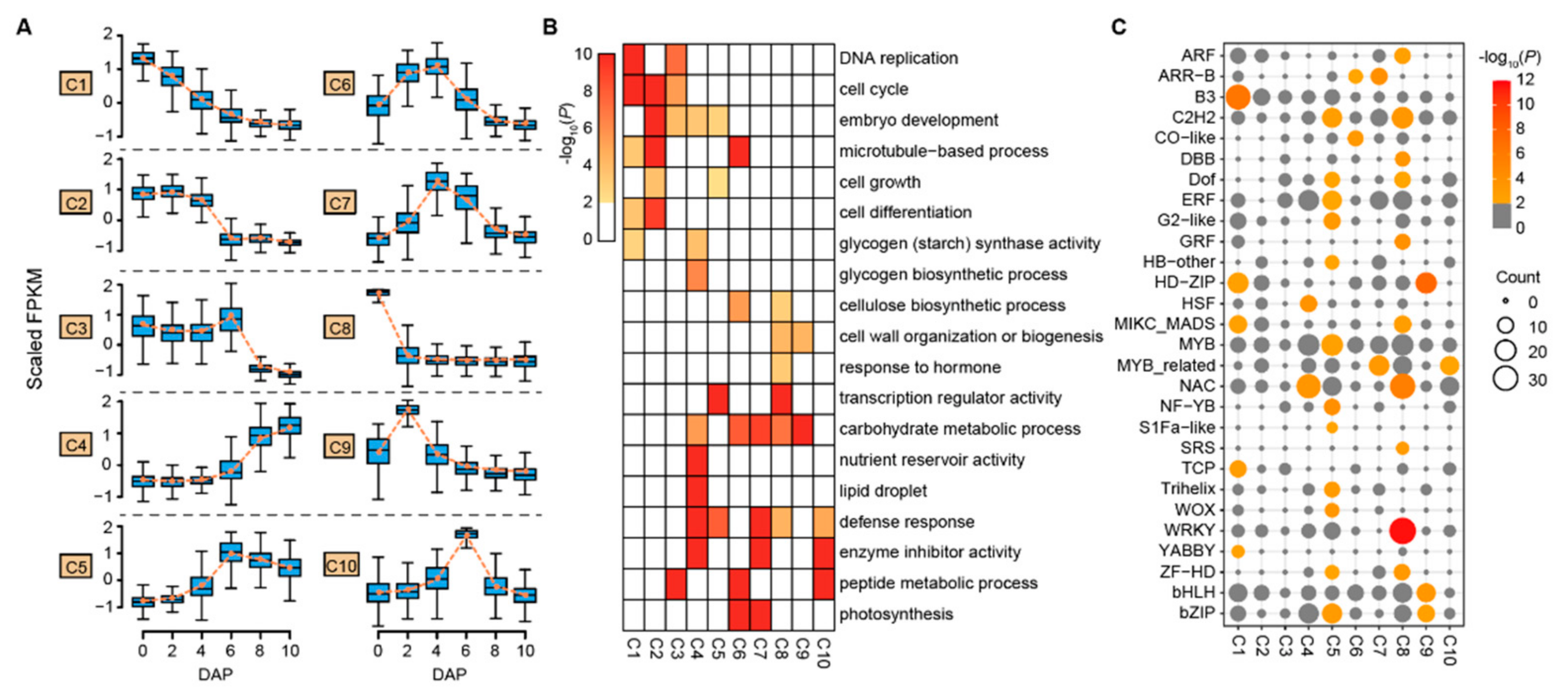 Biology 11 00281 g002