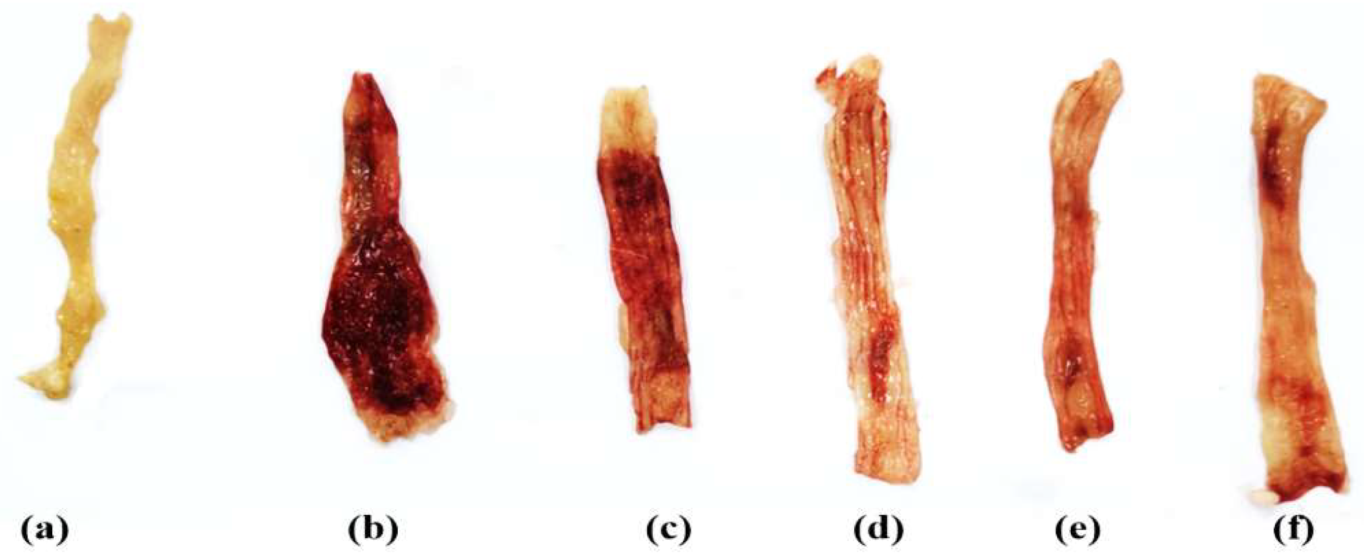 Biology 11 00303 g001