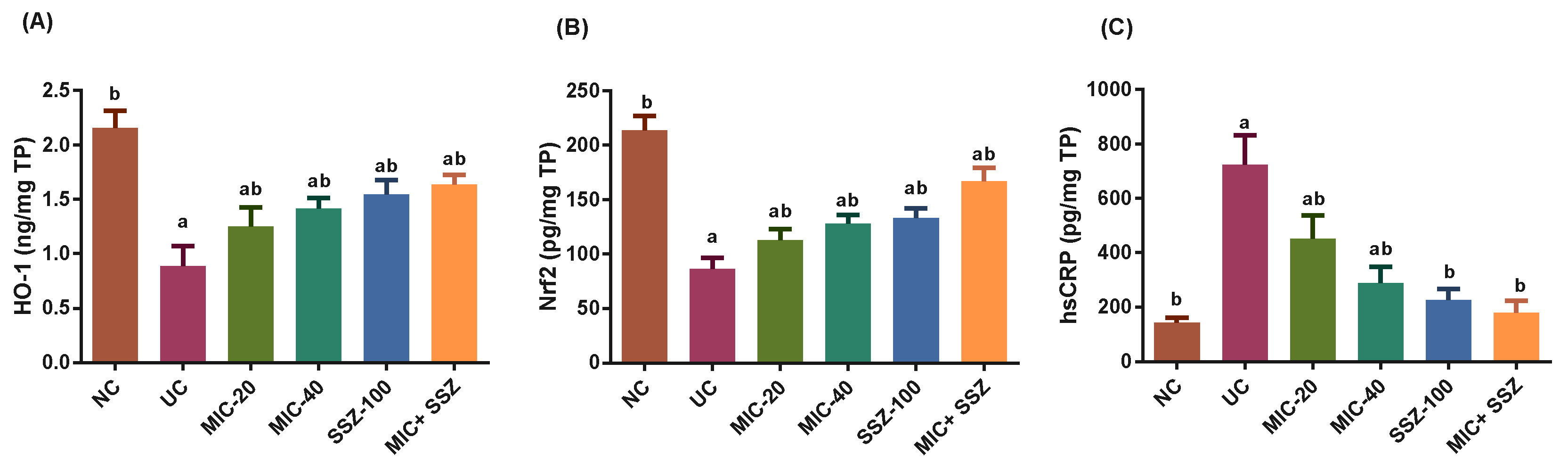 Biology 11 00303 g002