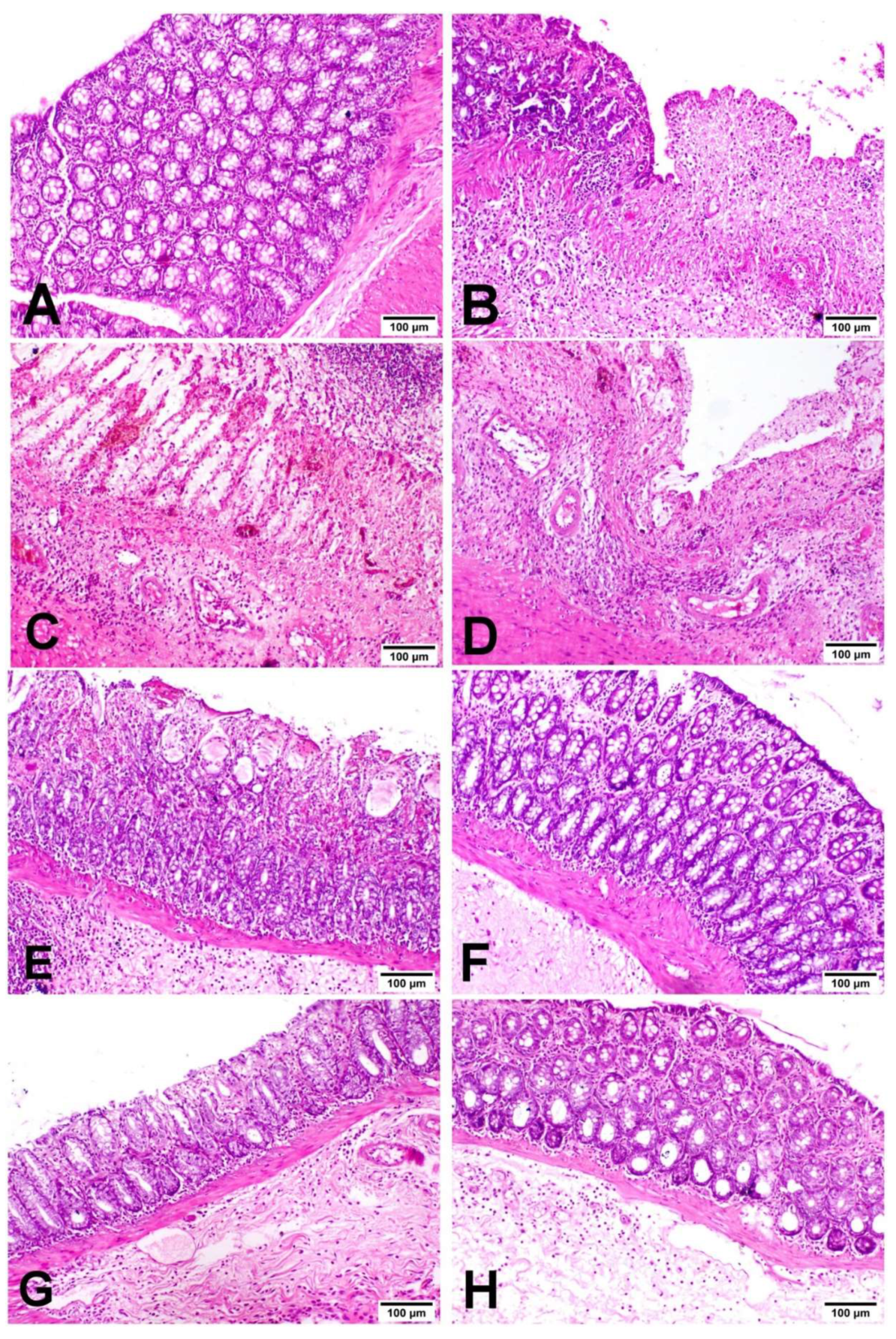 Biology 11 00303 g003