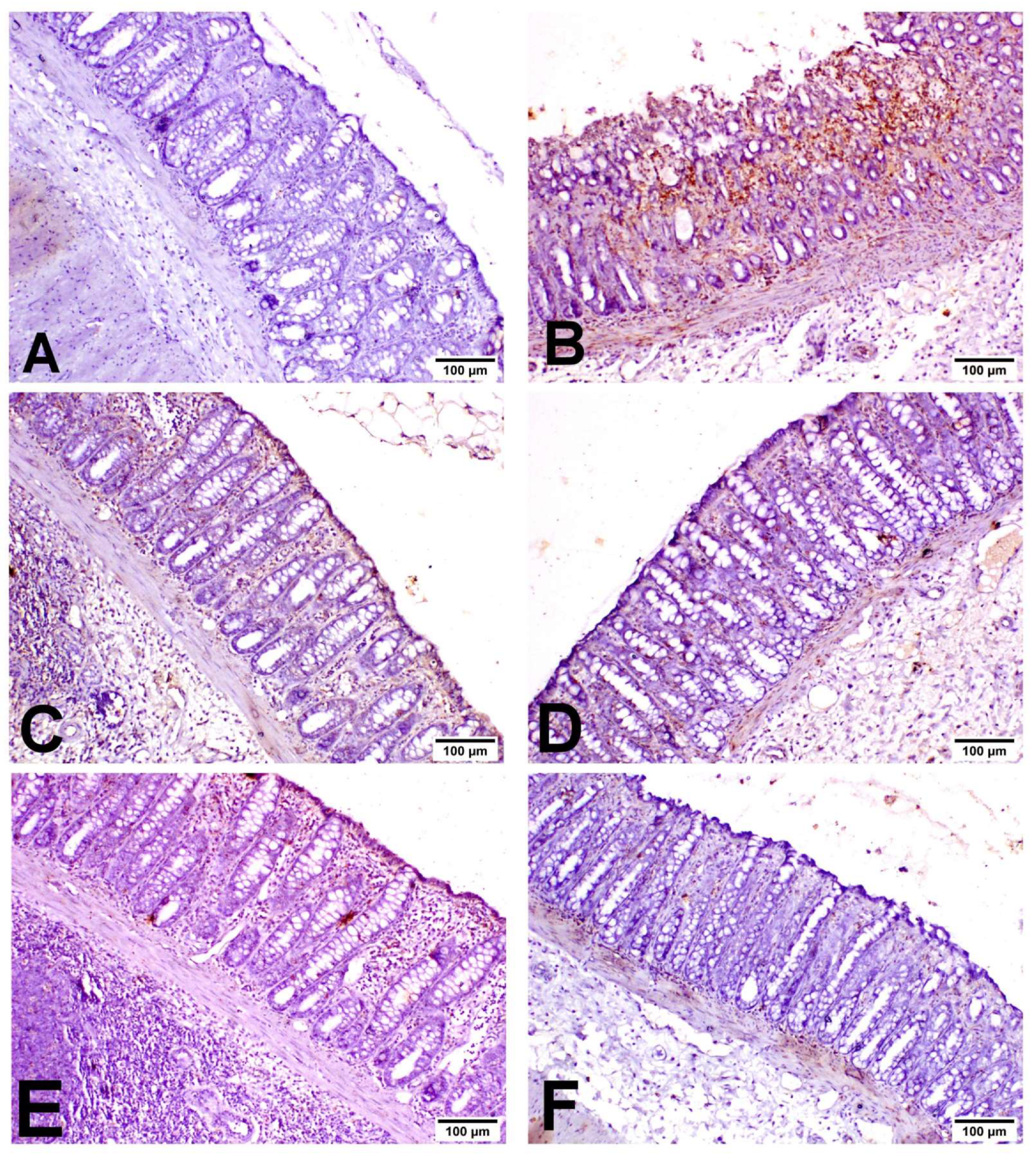 Biology 11 00303 g006