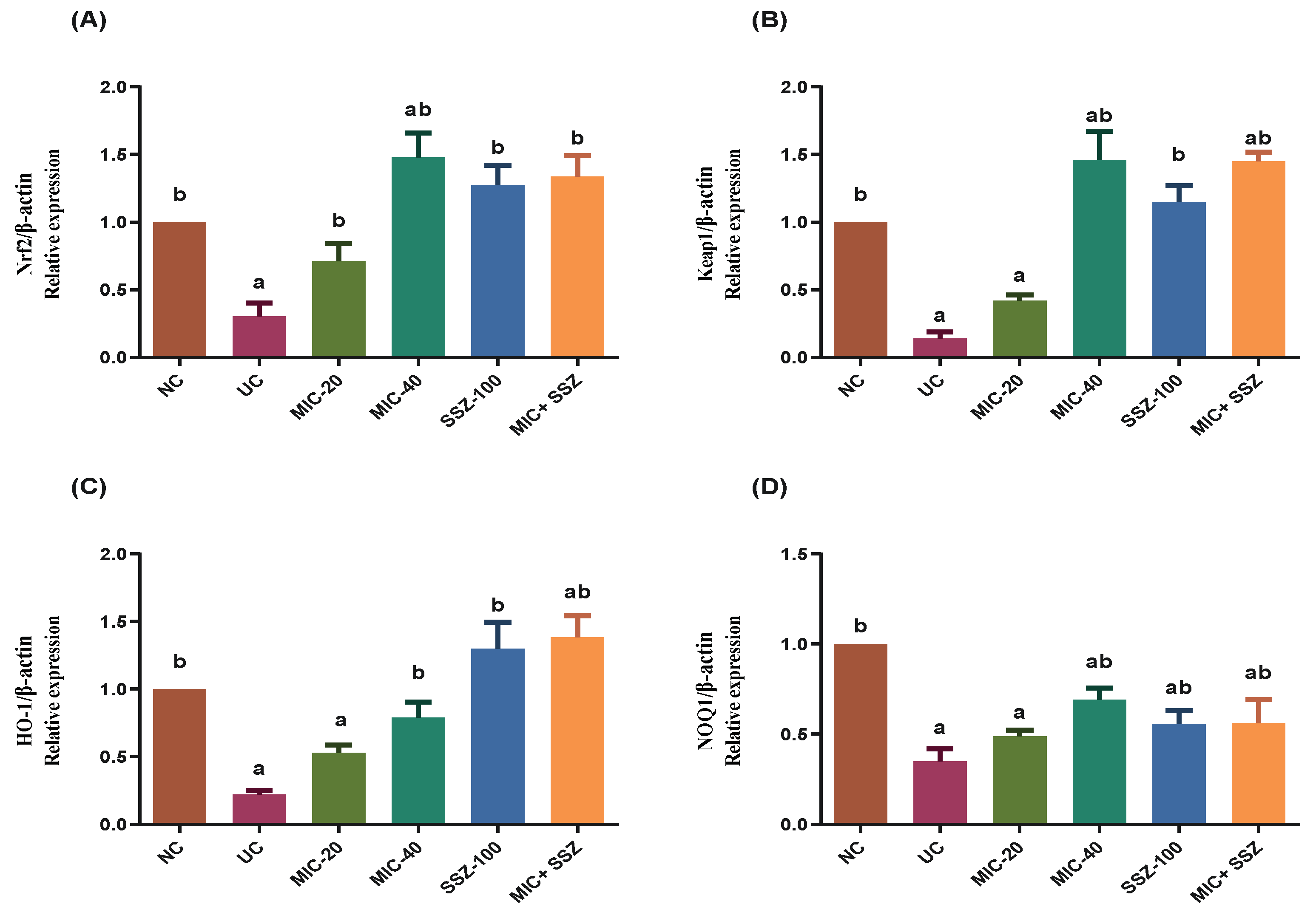 Biology 11 00303 g009