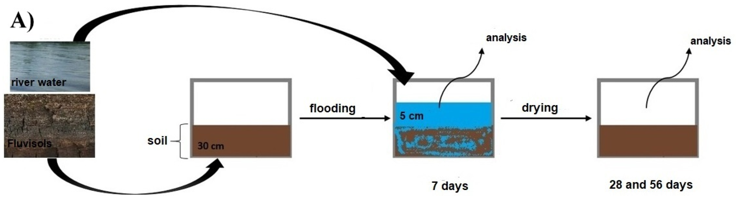 Biology 11 00386 g002a