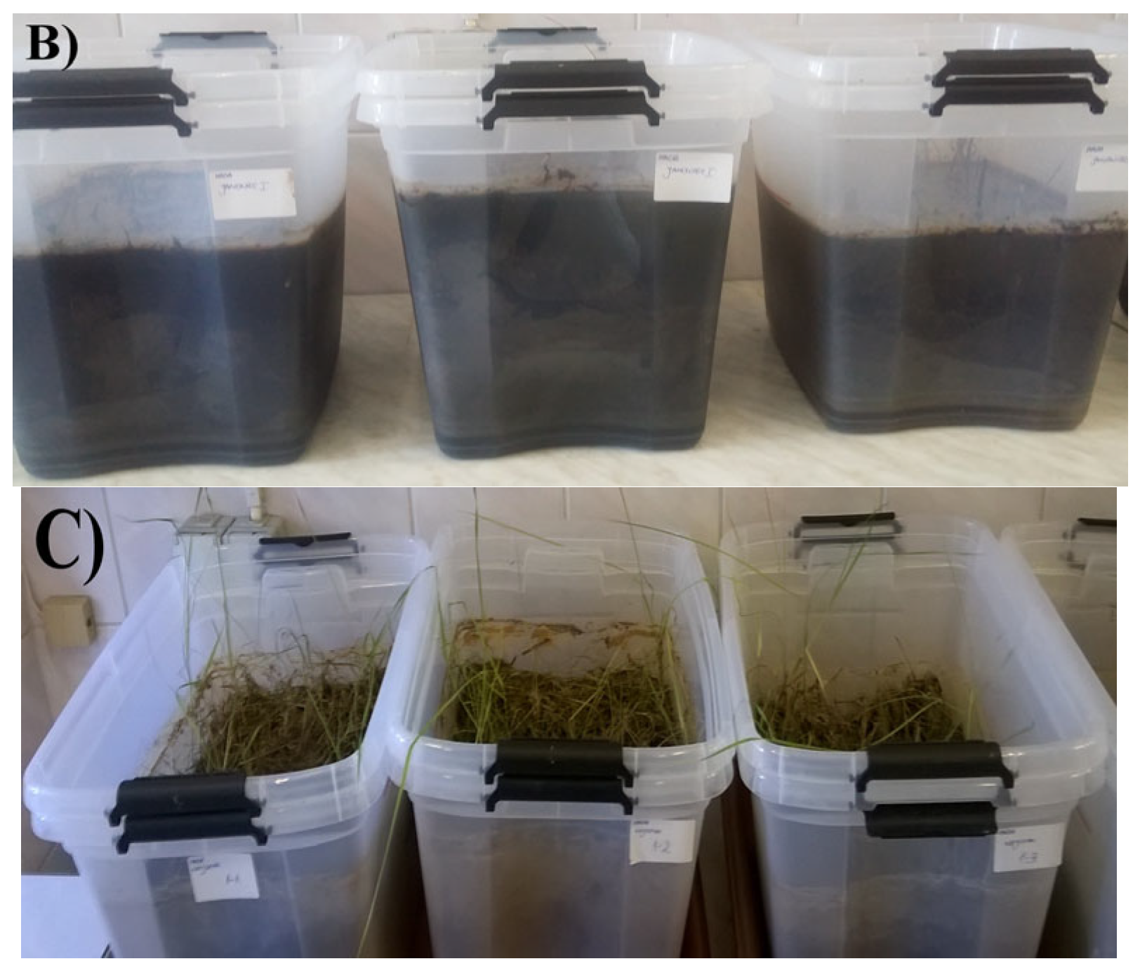 Biology 11 00386 g002b