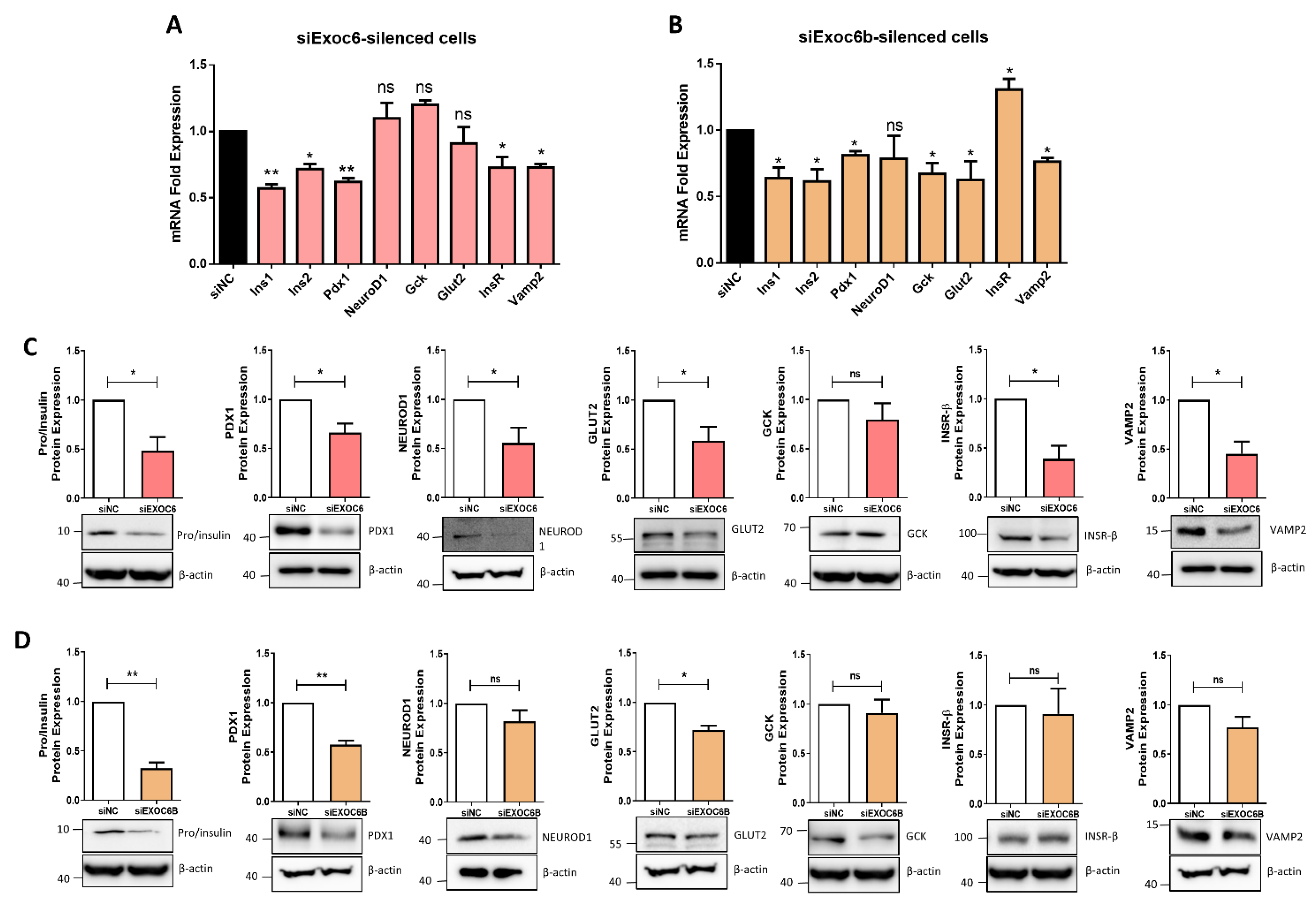 Biology 11 00388 g004 Biology 11 00388 g004