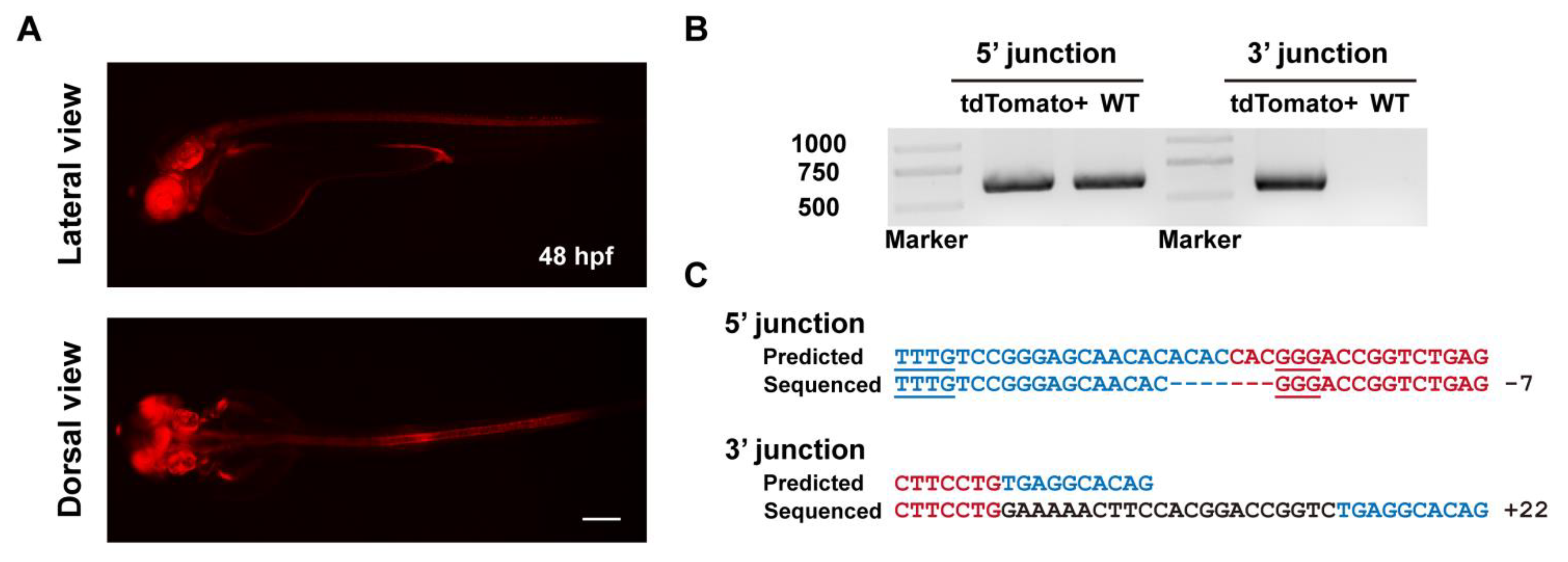 Biology 11 00411 g004