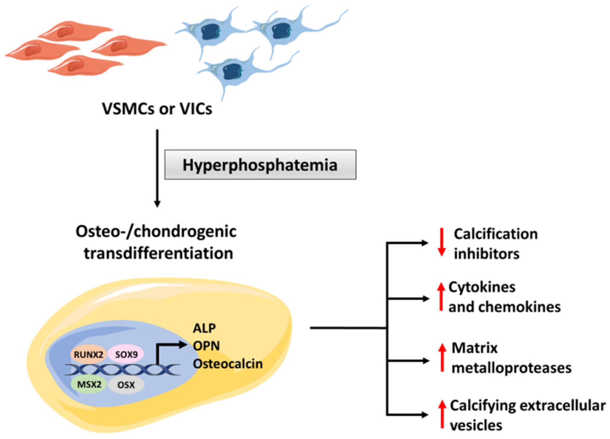 Biology 11 00414 g003