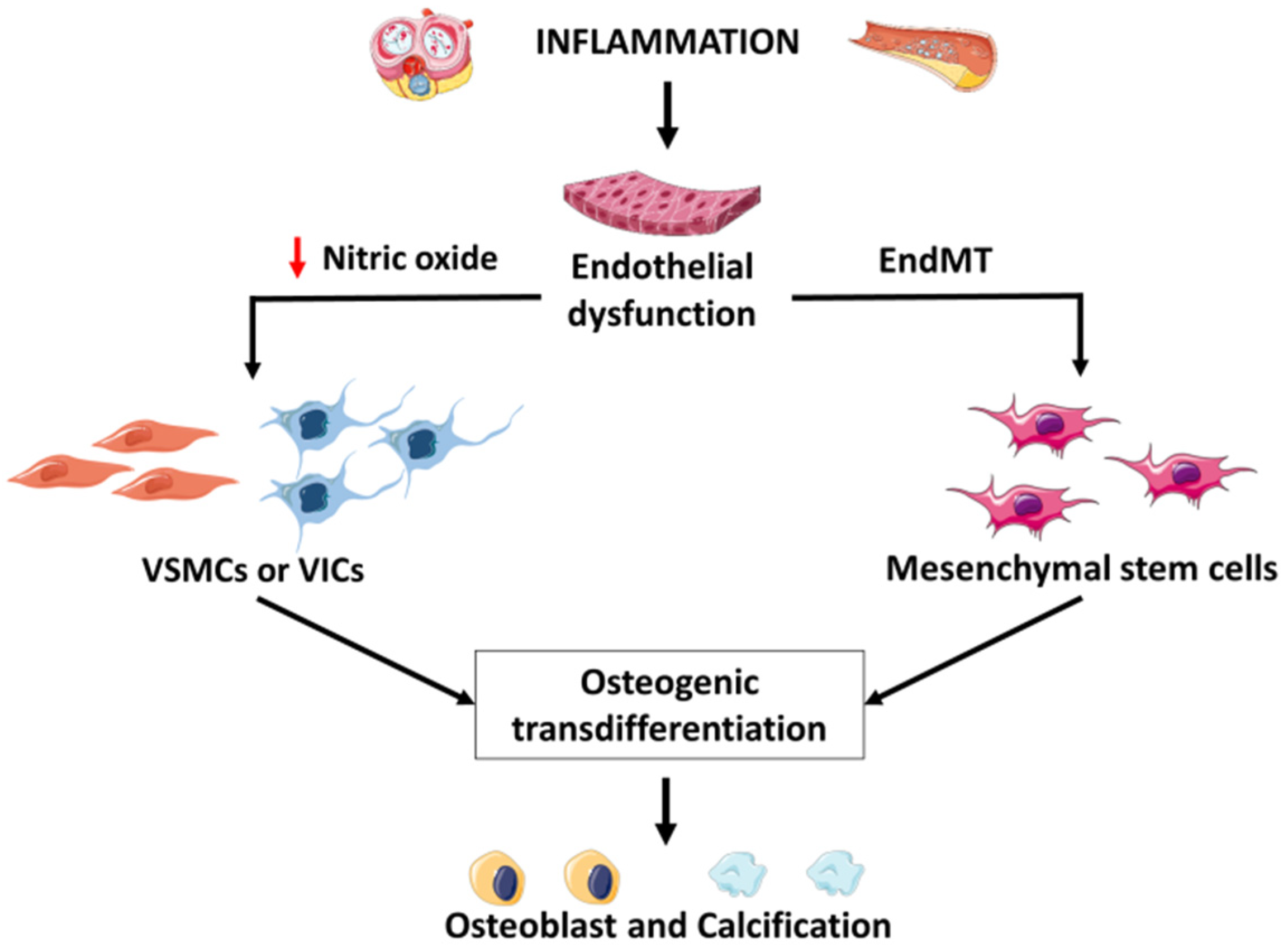Biology 11 00414 g004