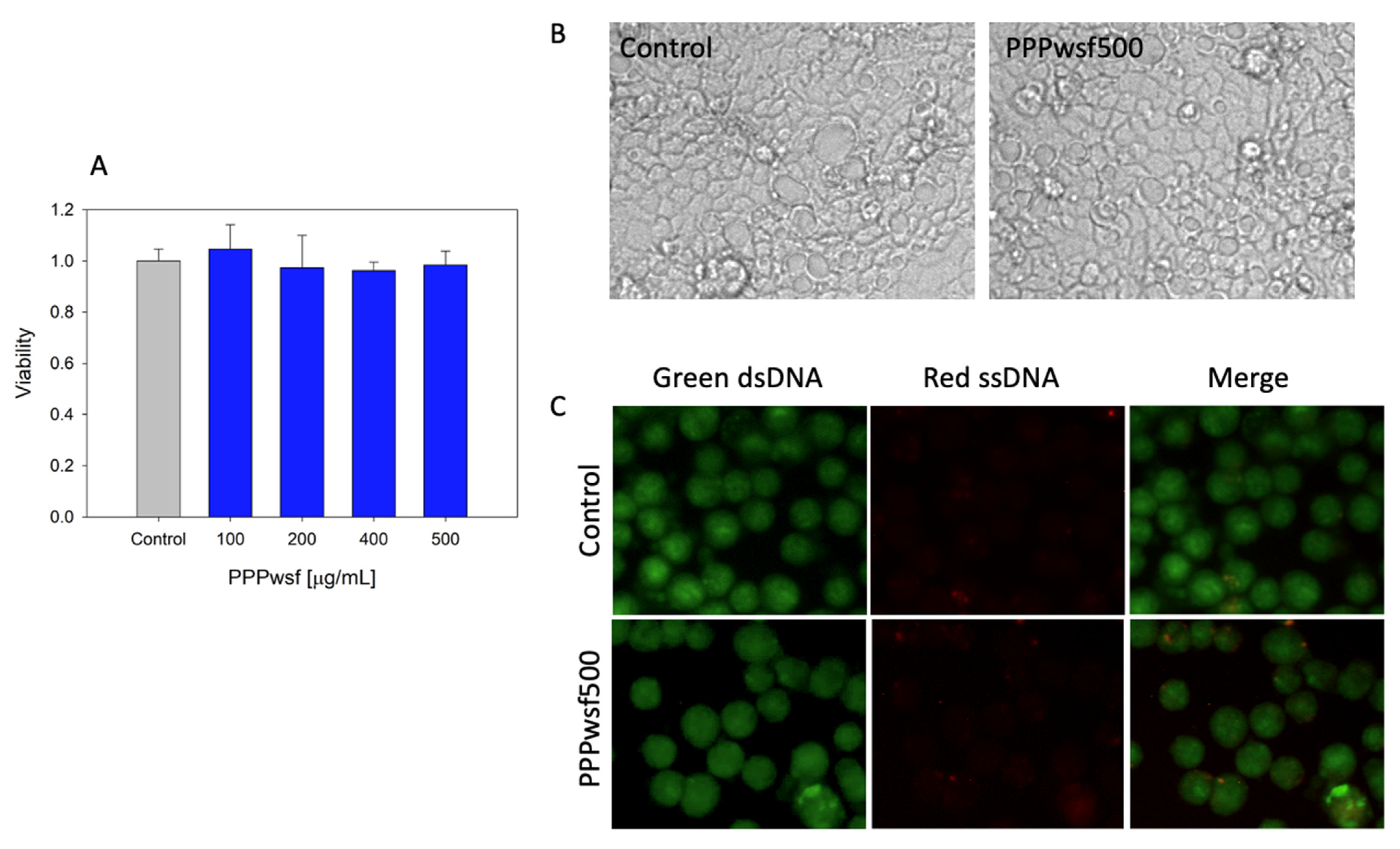 Biology 11 00416 g002