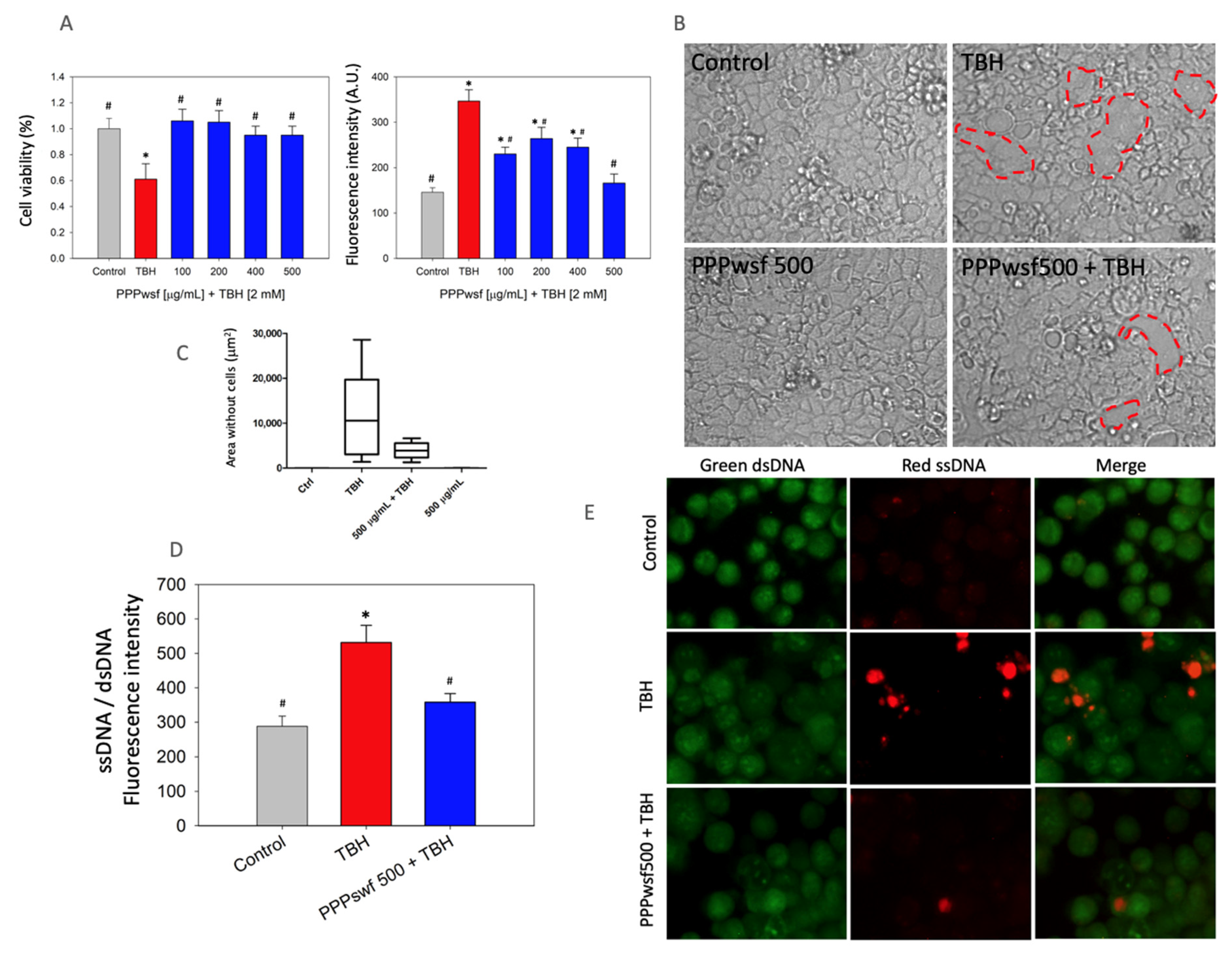 Biology 11 00416 g003